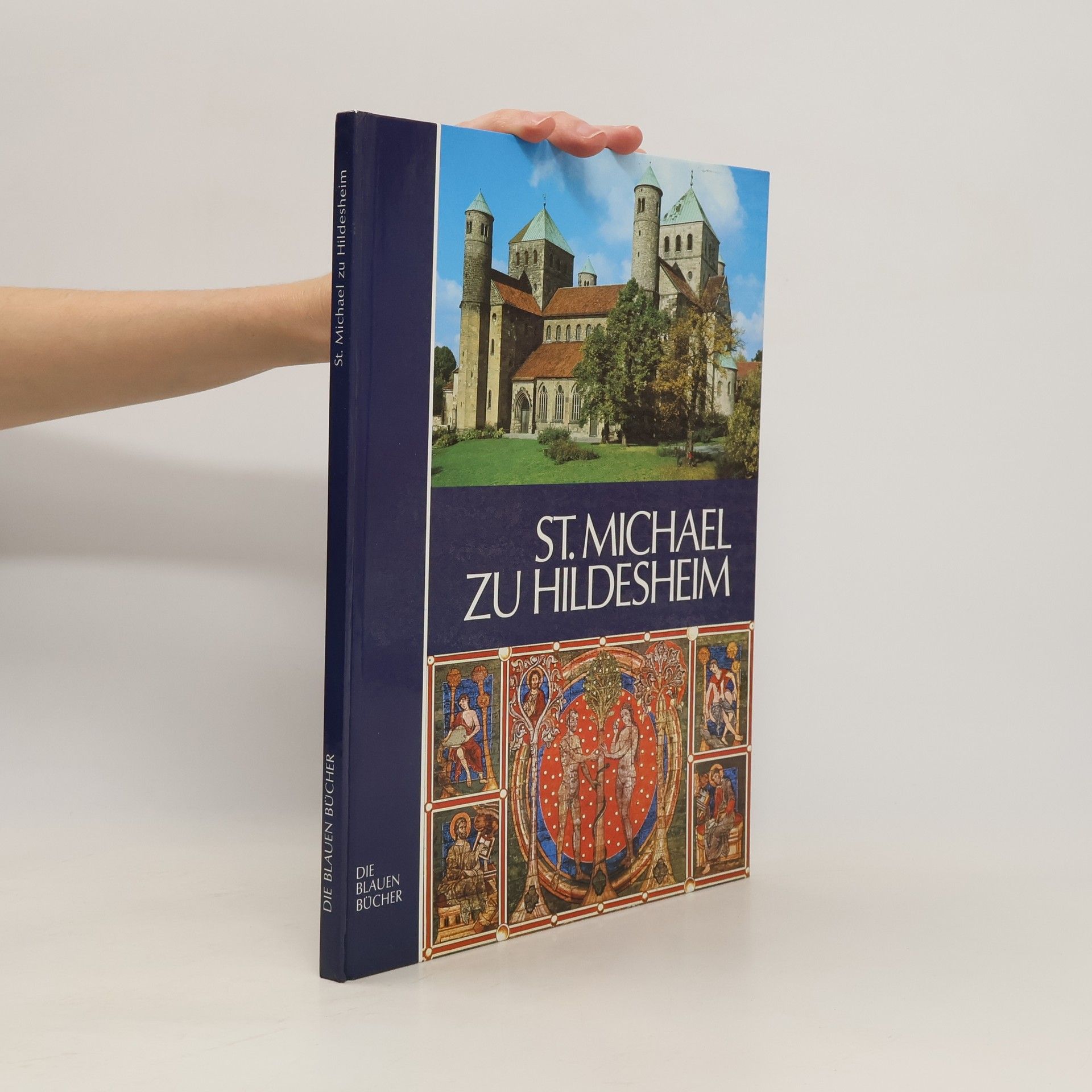 Autores varios St. Michael zu Hildesheim