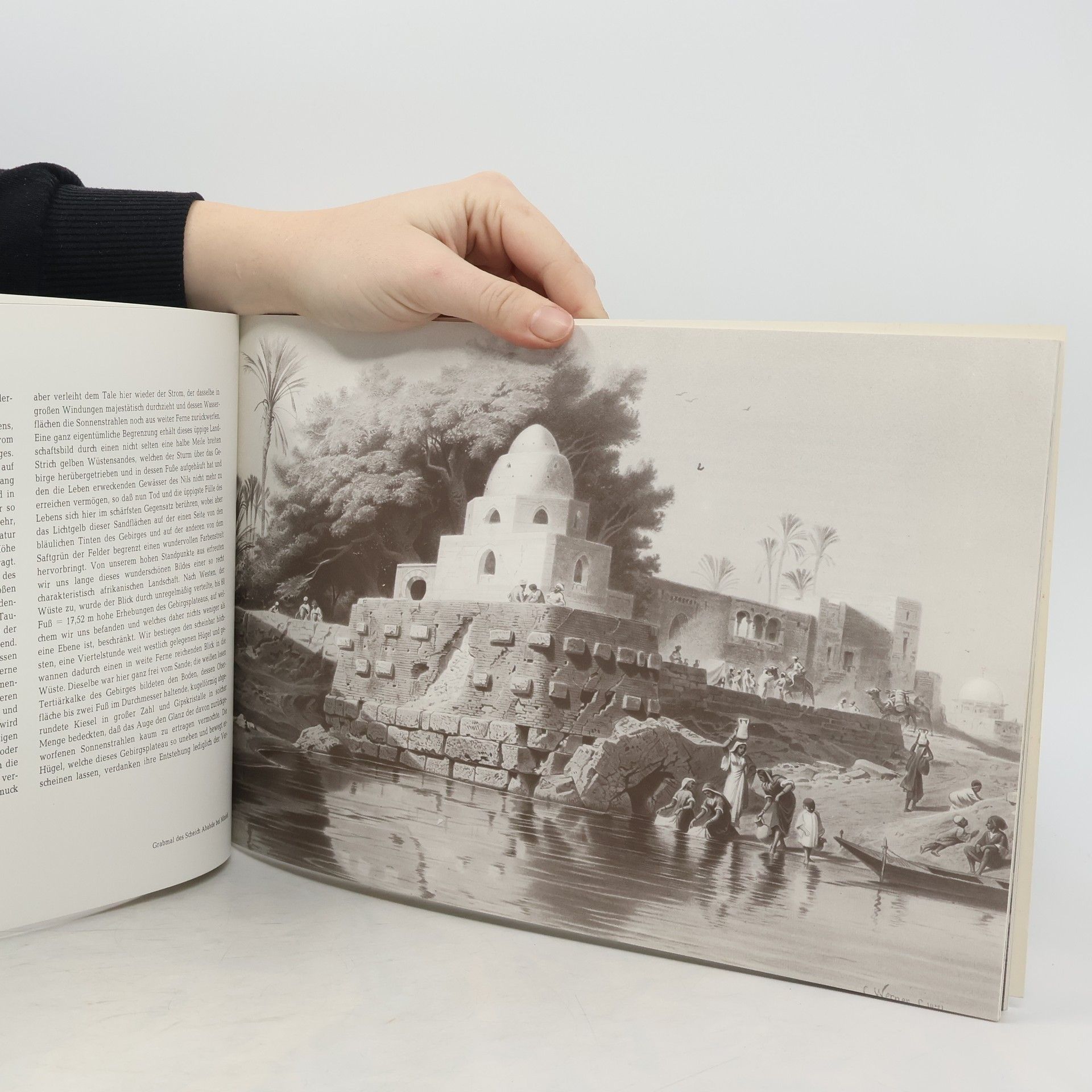 Hermann Roemer Reise in das Land der Pharaonen