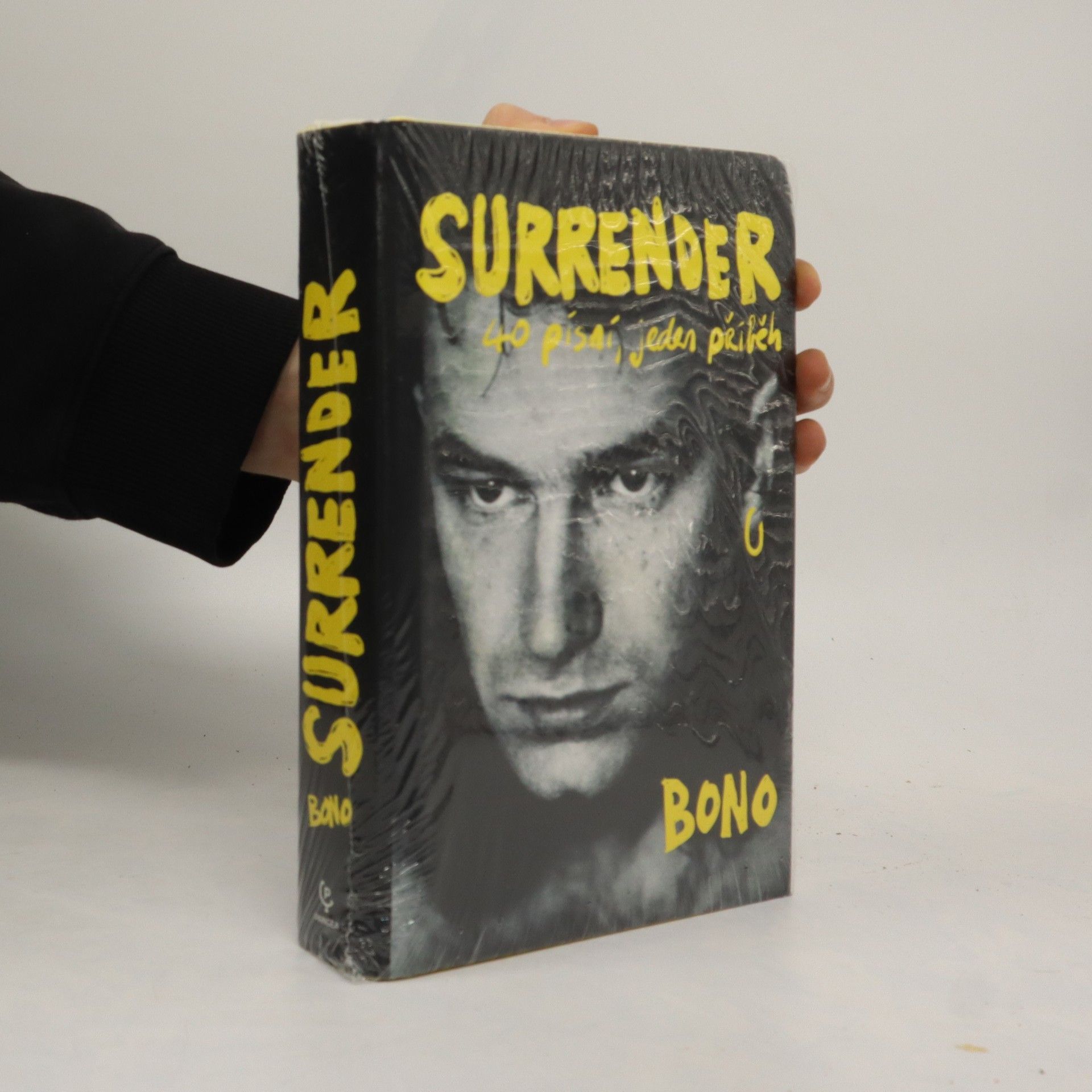 Bono Surrender : 40 písní, jeden příběh