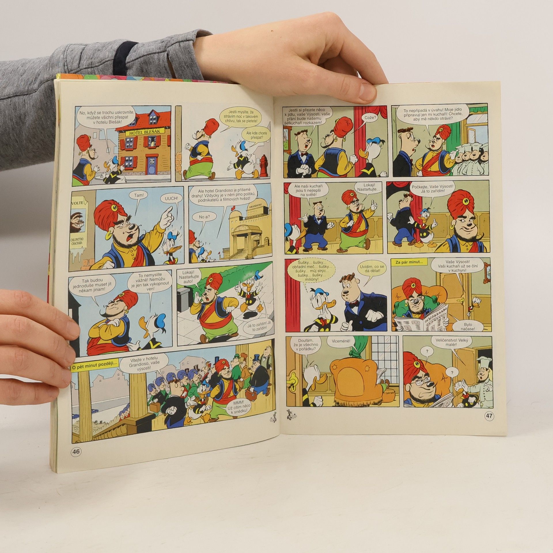 Kolektiv autorů Kačer Donald 13. Kačer Donald slaví 70. narozenin