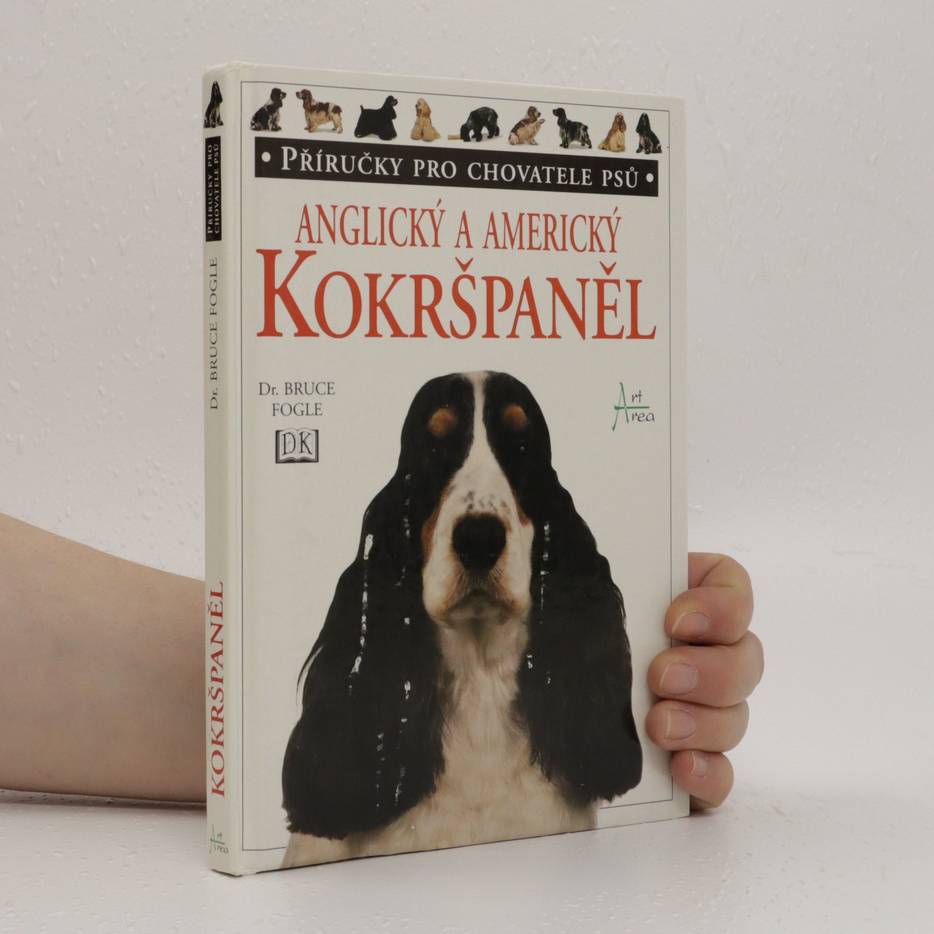 Bruce Folge Anglický a americký kokršpaněl