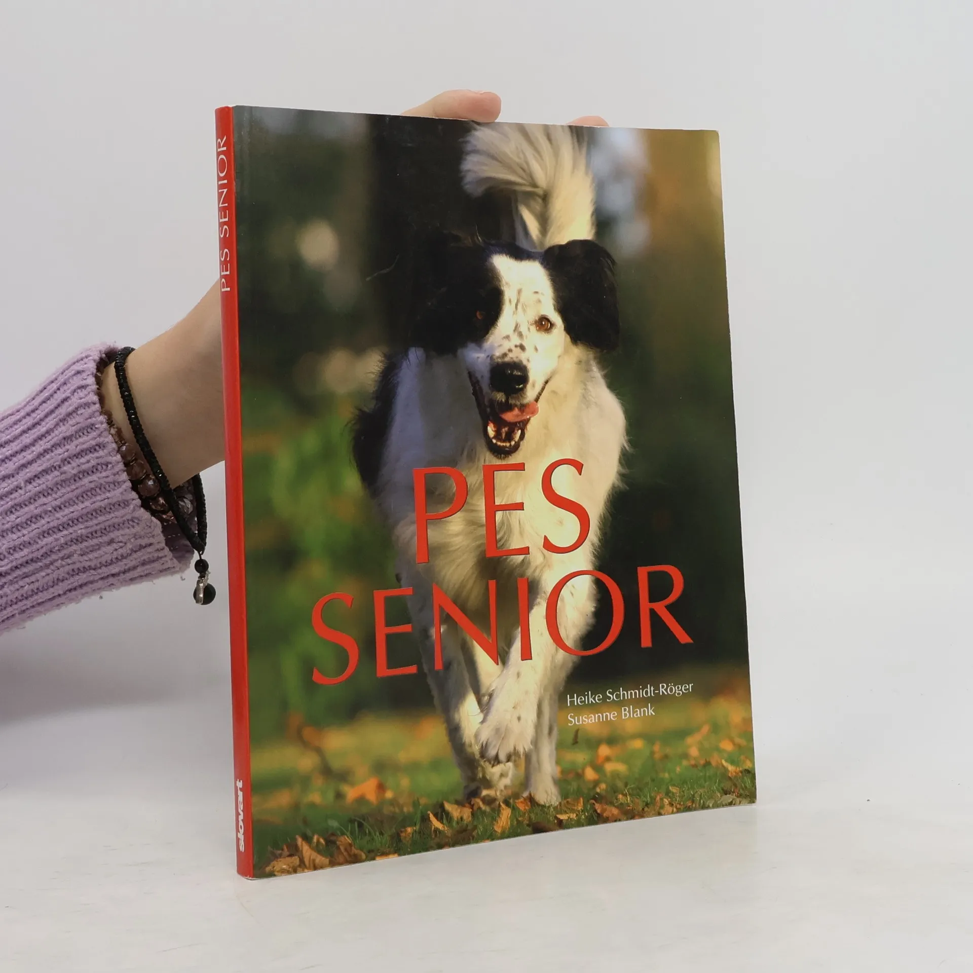 Pes senior | Livre | Heike Schmidt-Röger | SK