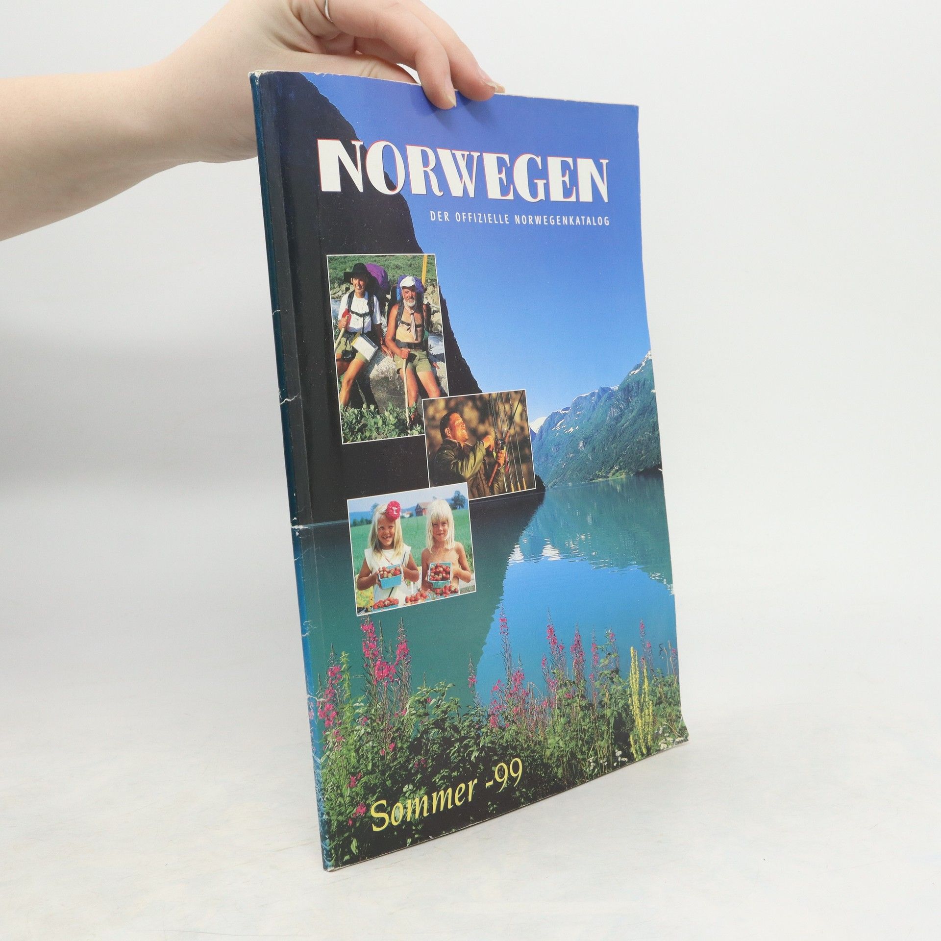 Autorenkollektiv Norwegen