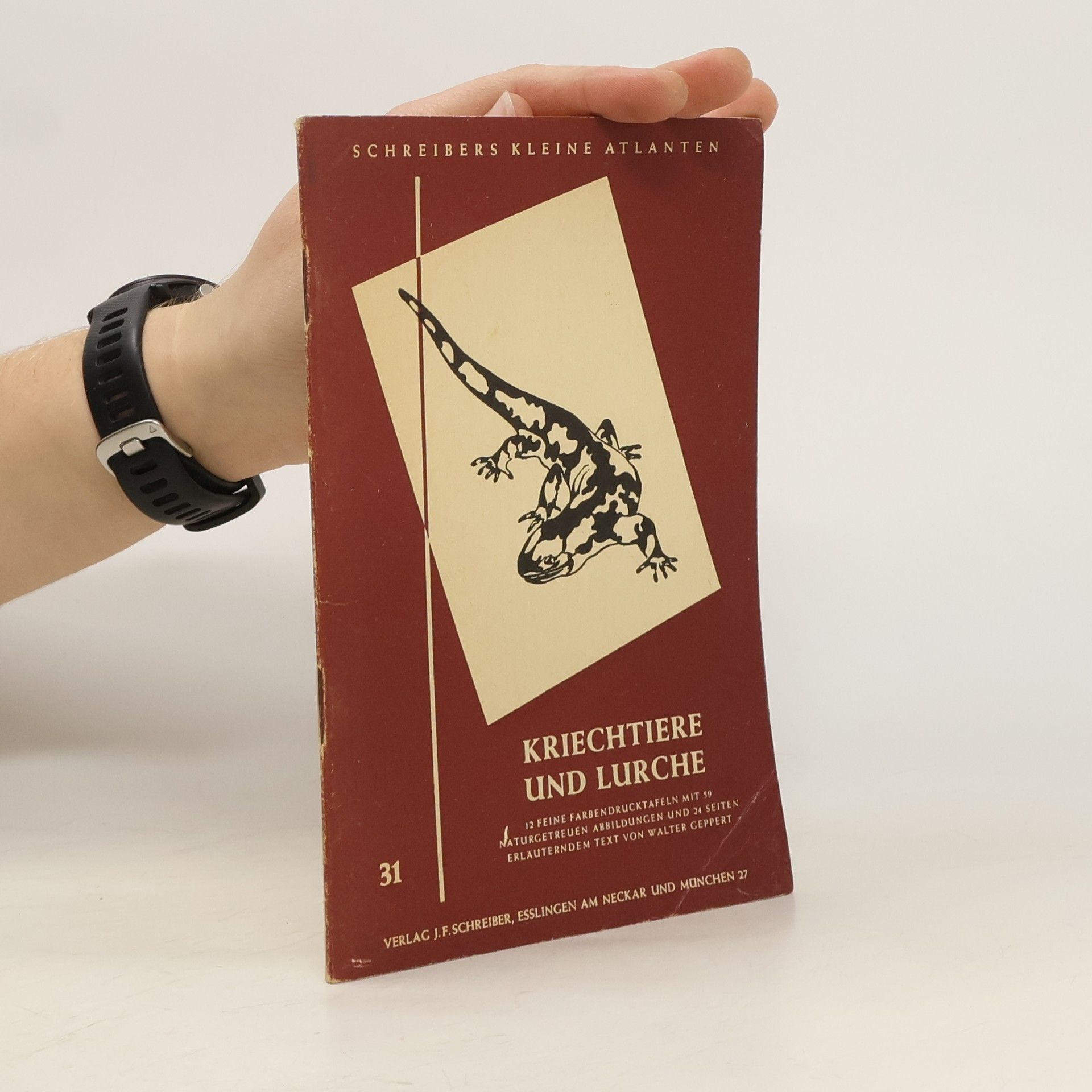 Collectif d'auteurs Kriechtiere und Lurche 31