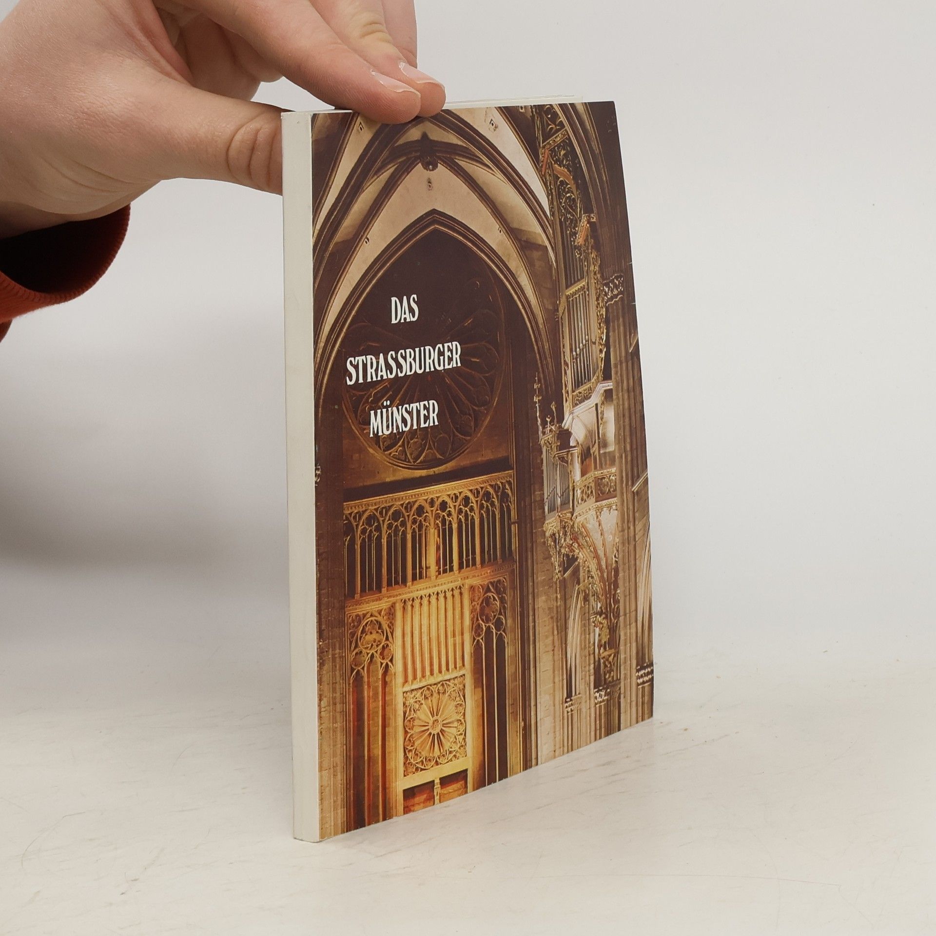 Auteurscollectief Das Strassburger Münster