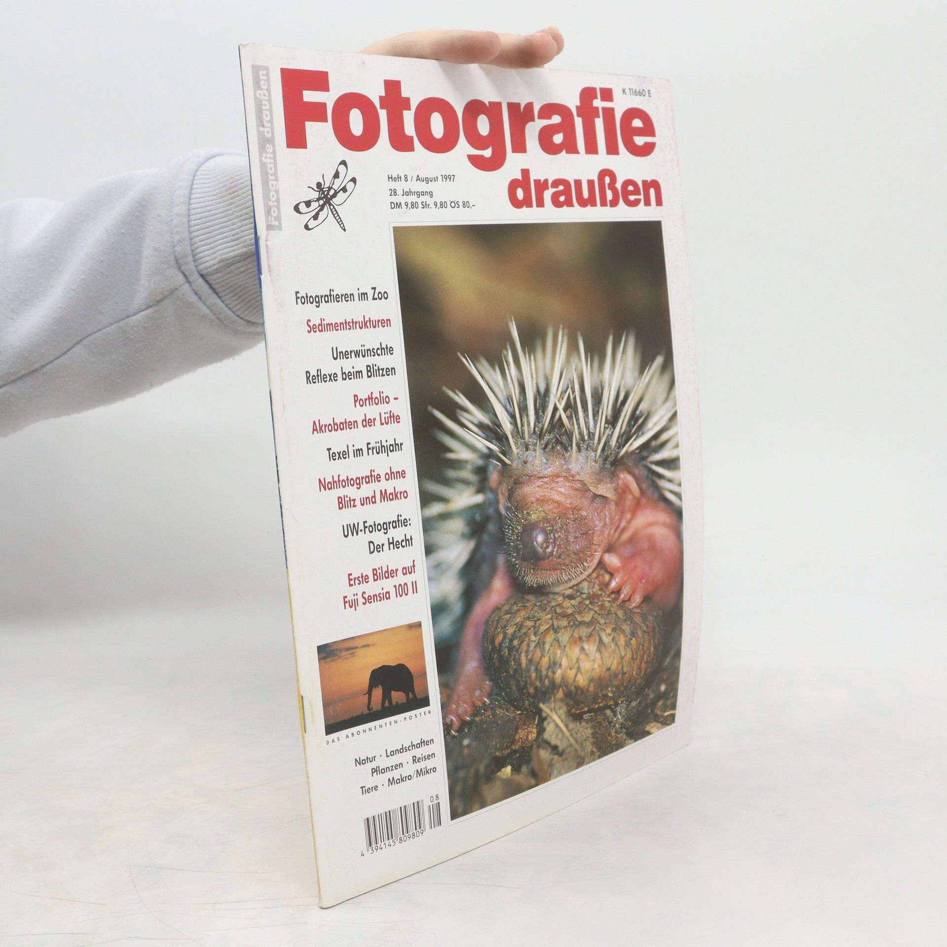 Collectif d'auteurs Fotografie draußen 8/1997