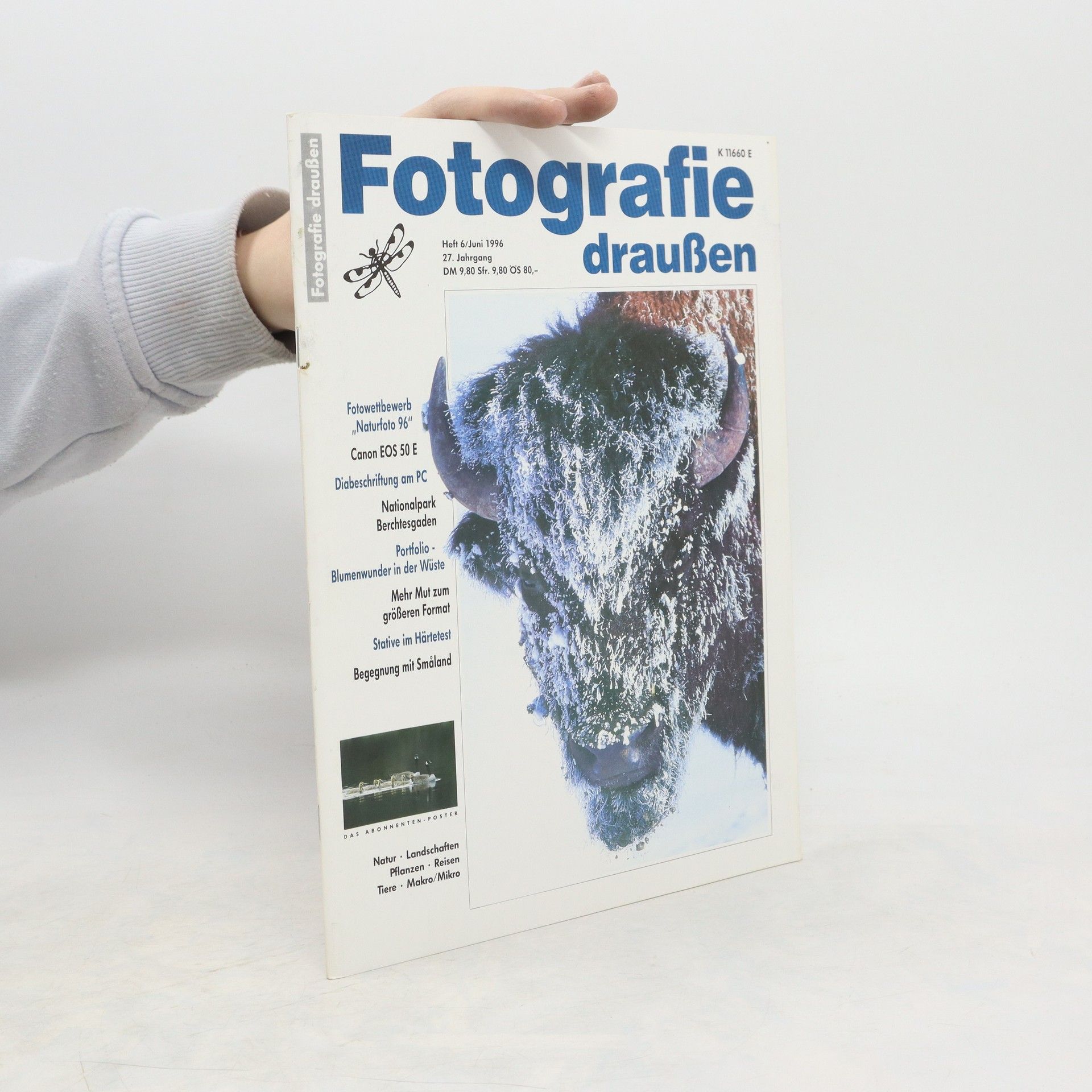 Collectif d'auteurs Fotografie draußen 6/1996