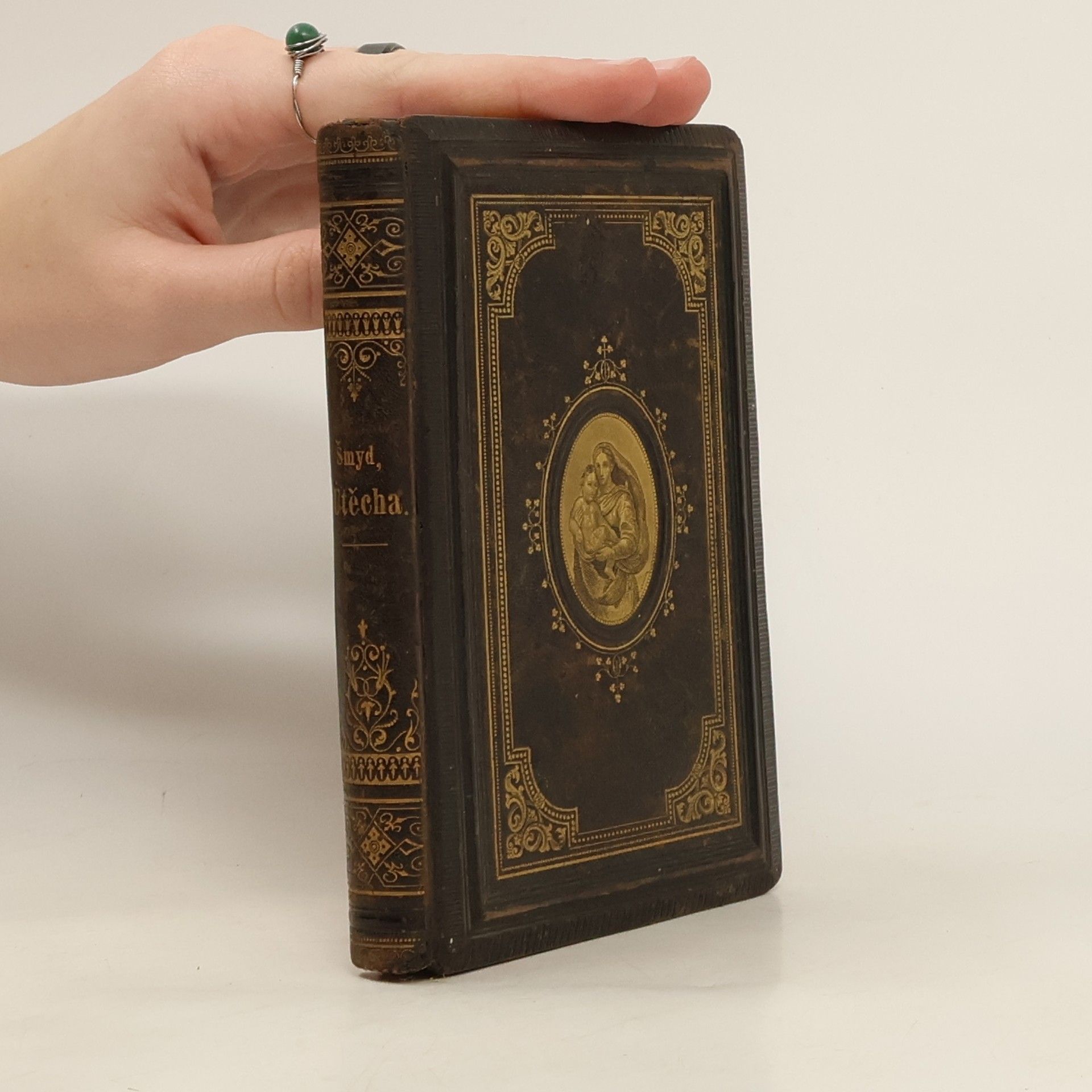 Tomáš Šmýd Útěcha živých i zemřelých