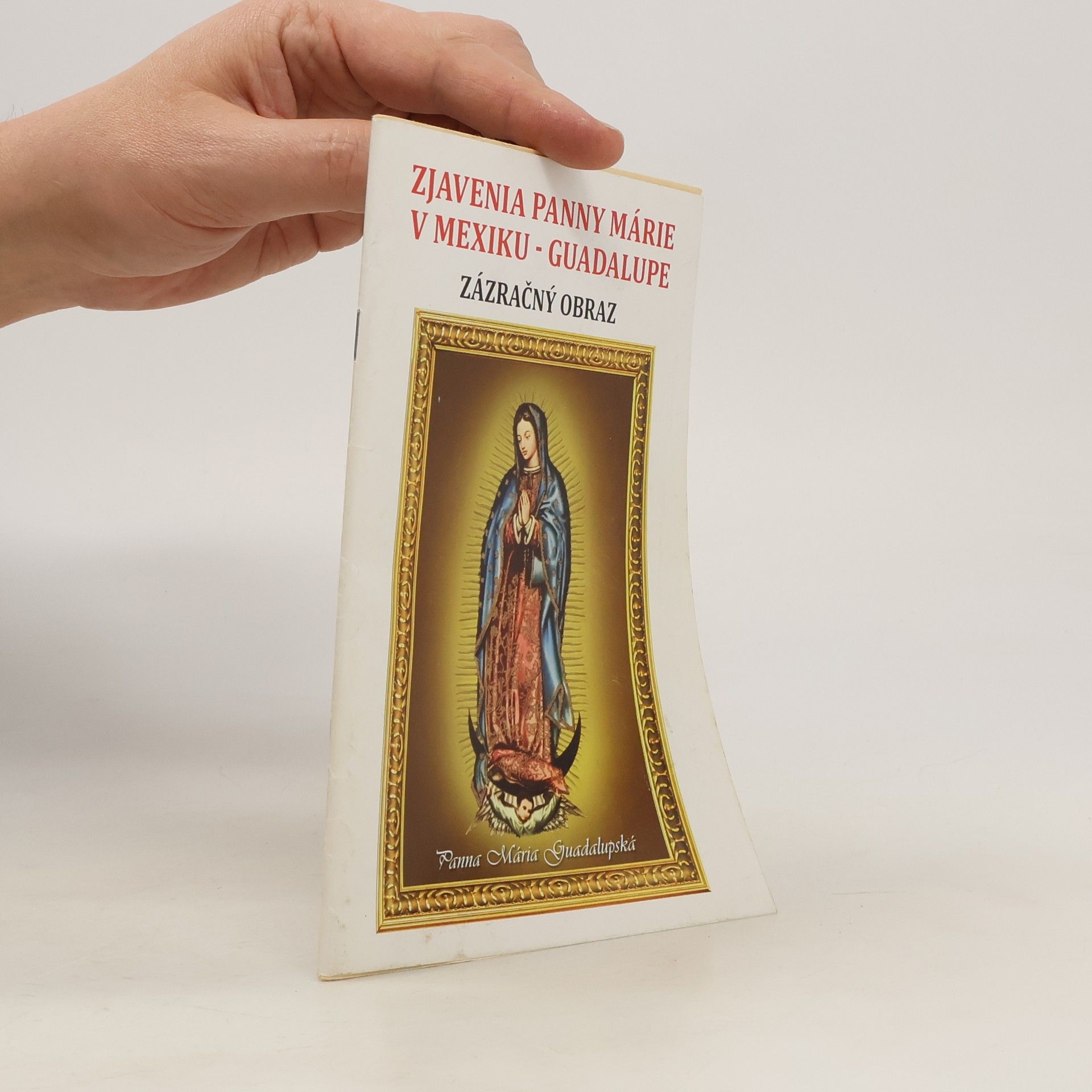 Kolektív autorov Zjavenia Panny Márie v Mexiku - Guadalupe. Zázračný obraz