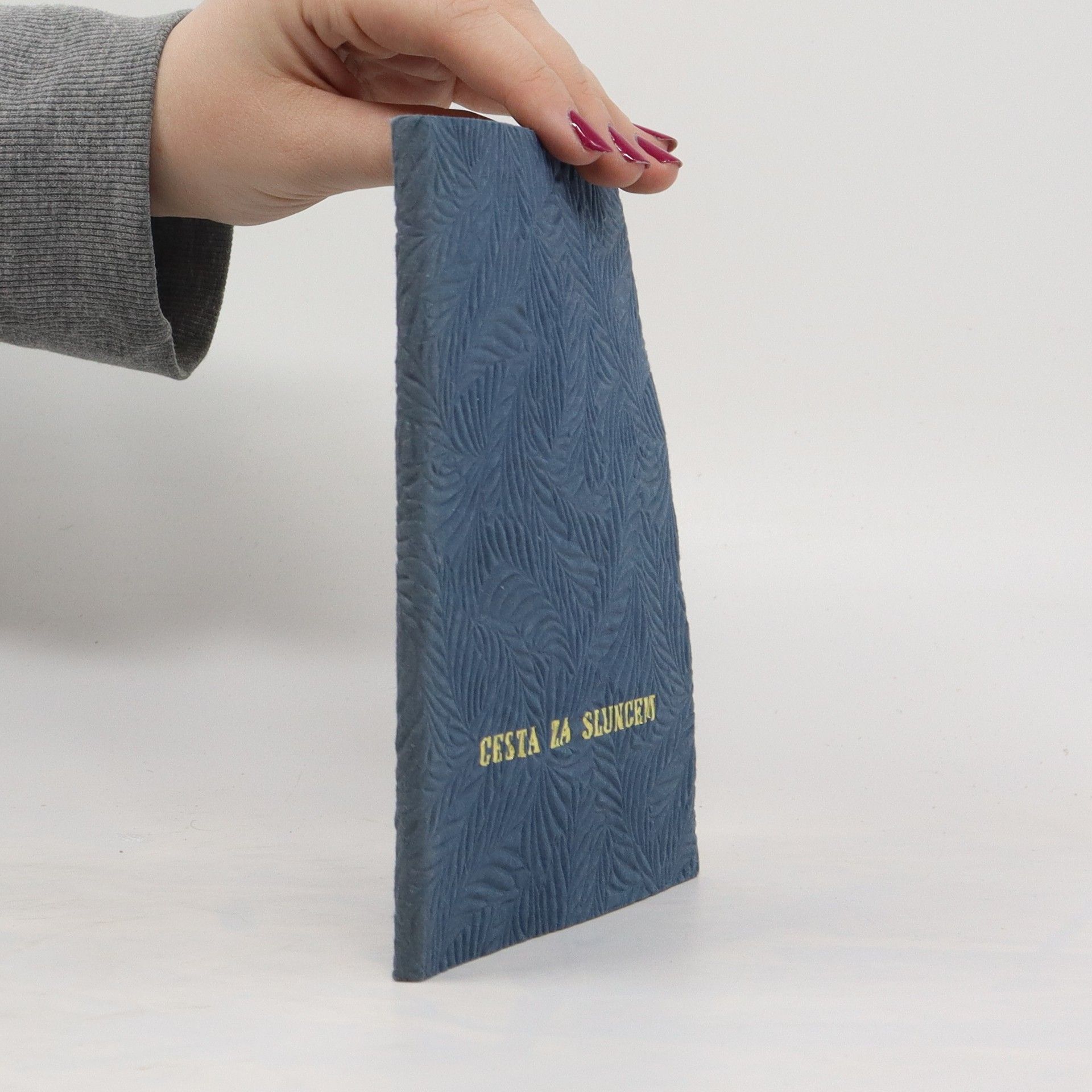 Kolektív autorov Cesta za sluncem (číslovaný výtisk)