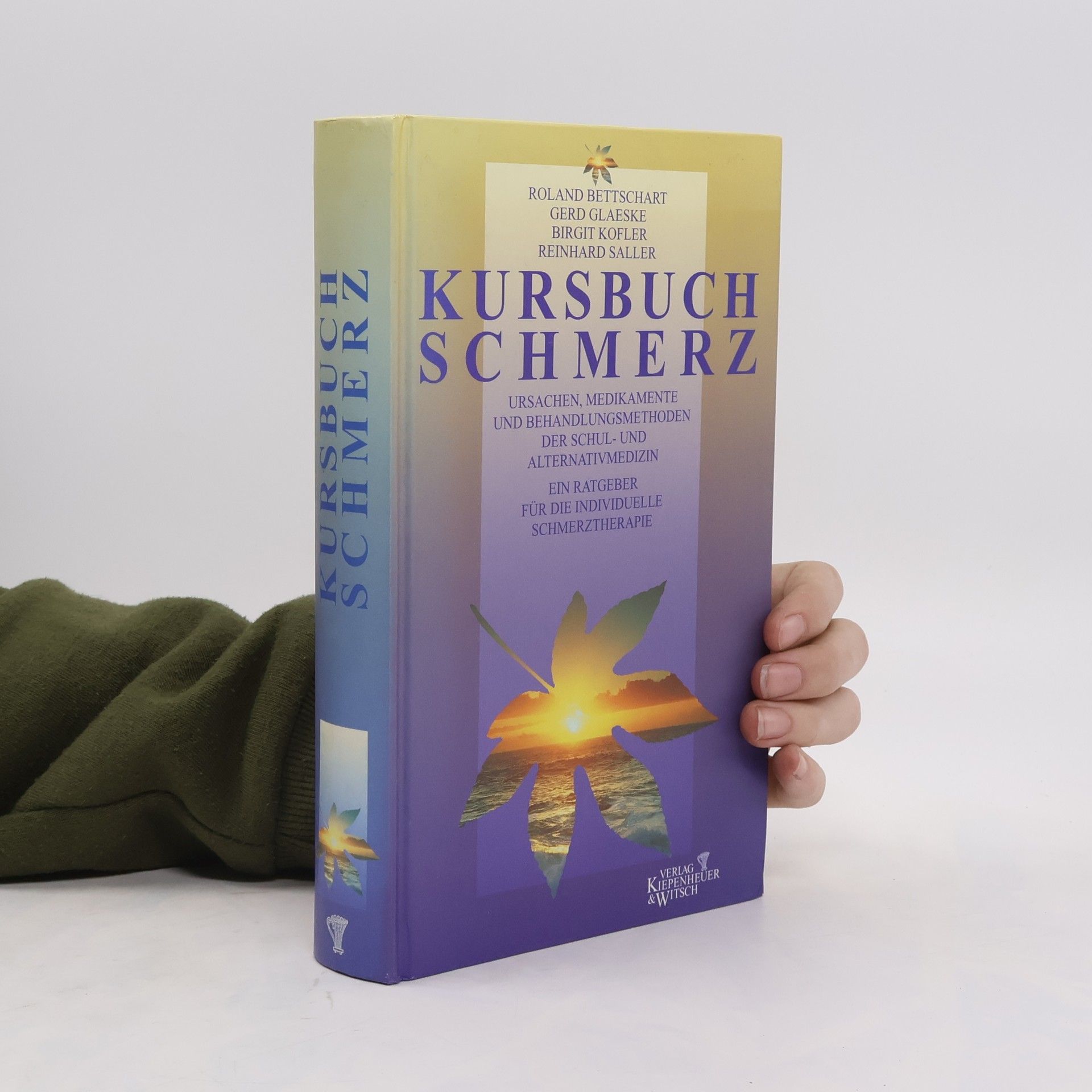 Roland Bettschart Kursbuch Schmerz