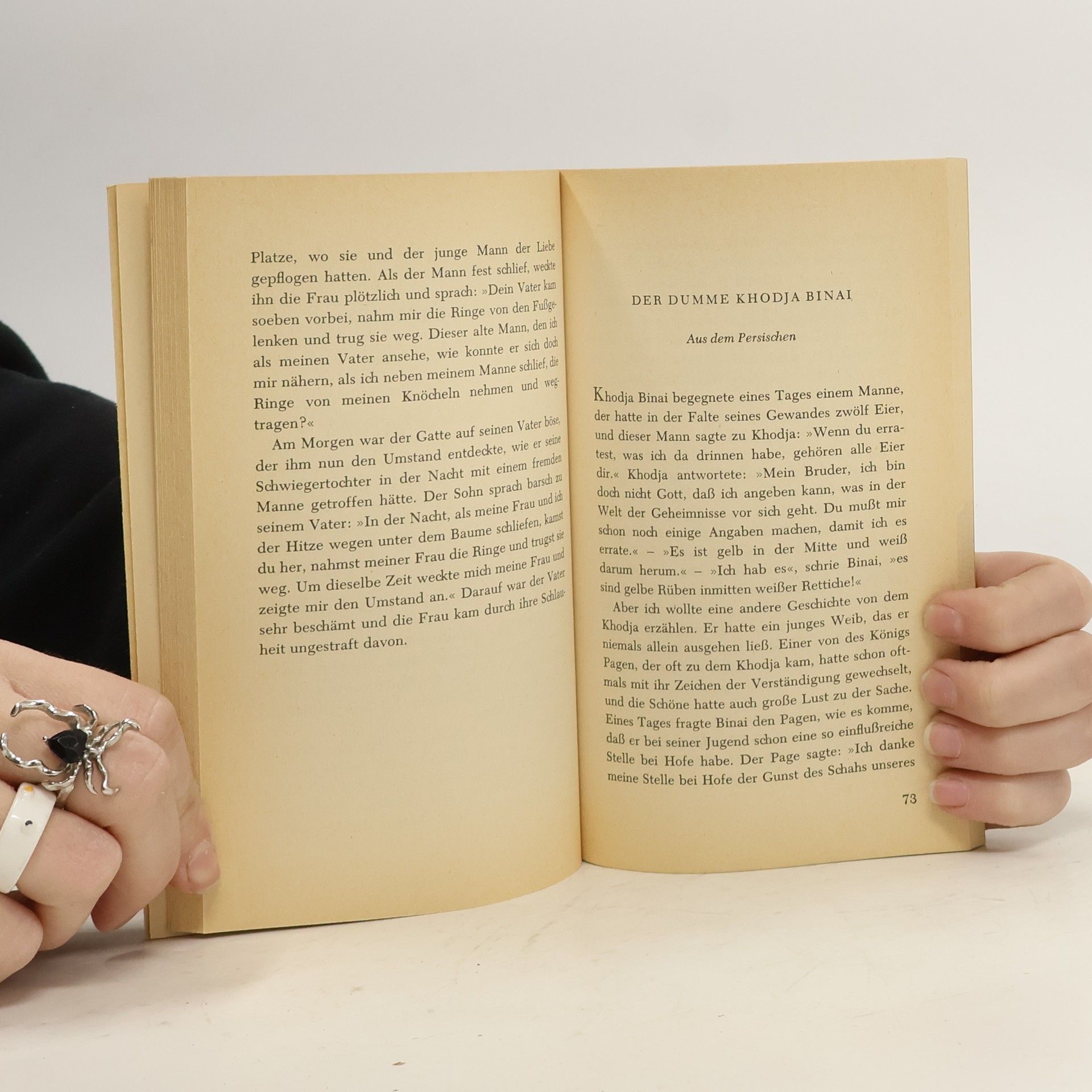 Autorenkollektiv Die Schamhaften Hetären