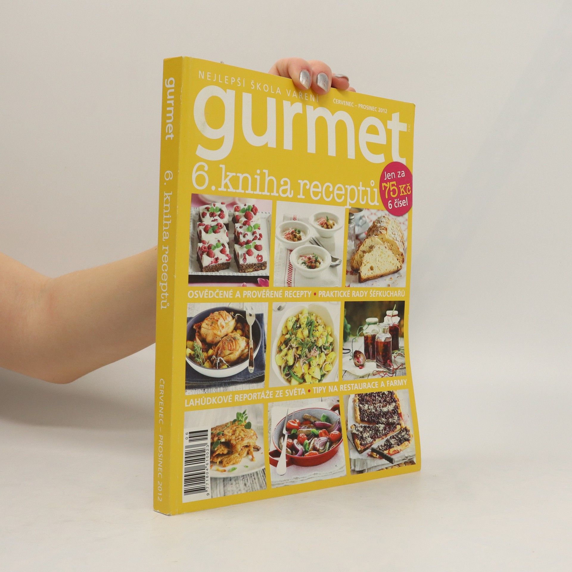 Collectif d'auteurs Gurmet. 6. kniha receptů. Červenec - prosinec 2012