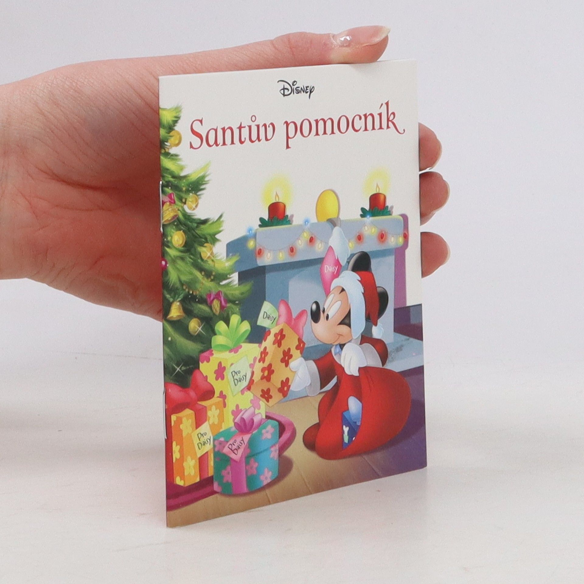 Collectif d'auteurs Santův pomocník