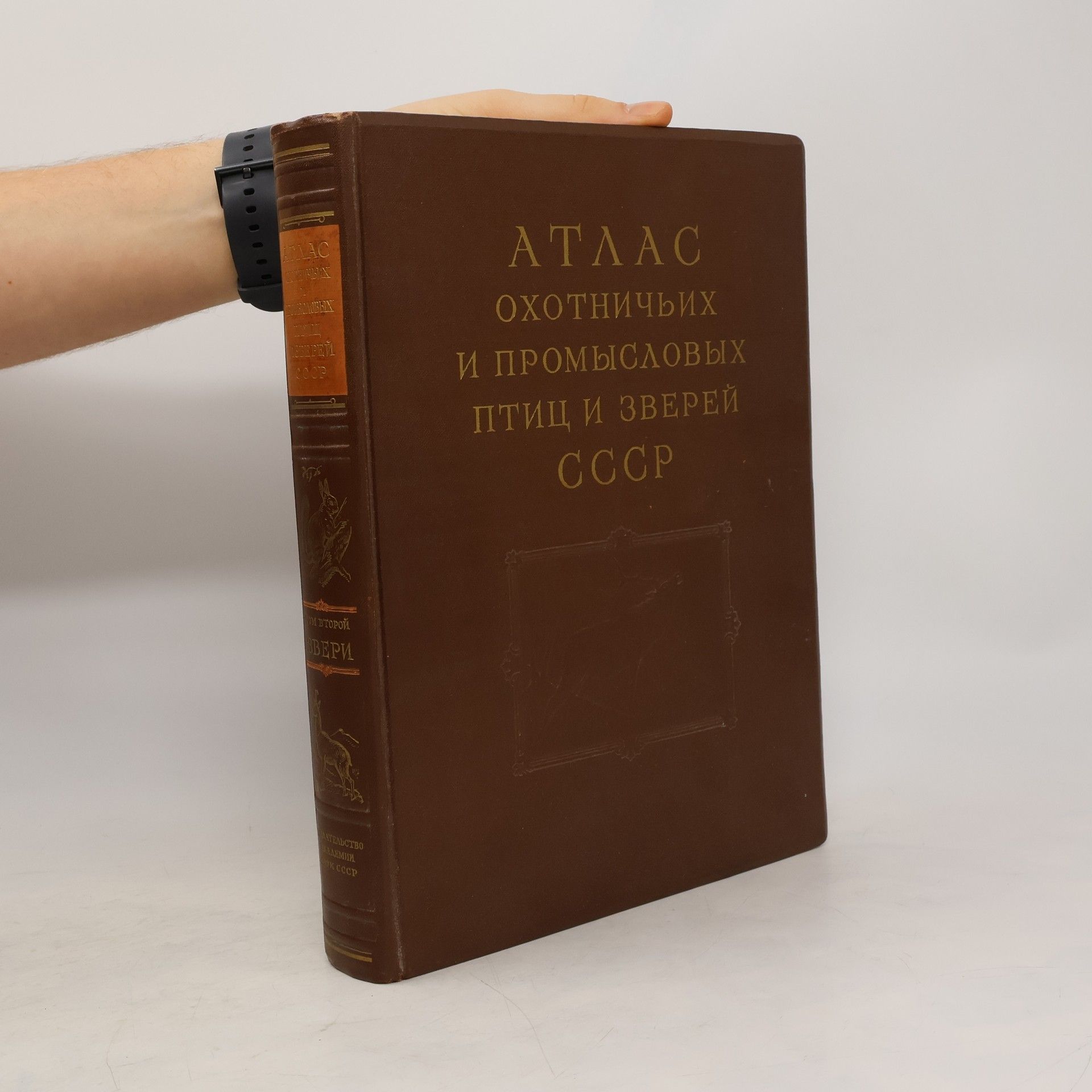 Autorenkollektiv Атлас охотничьих и промысловых птиц и зверей СССР: Звери