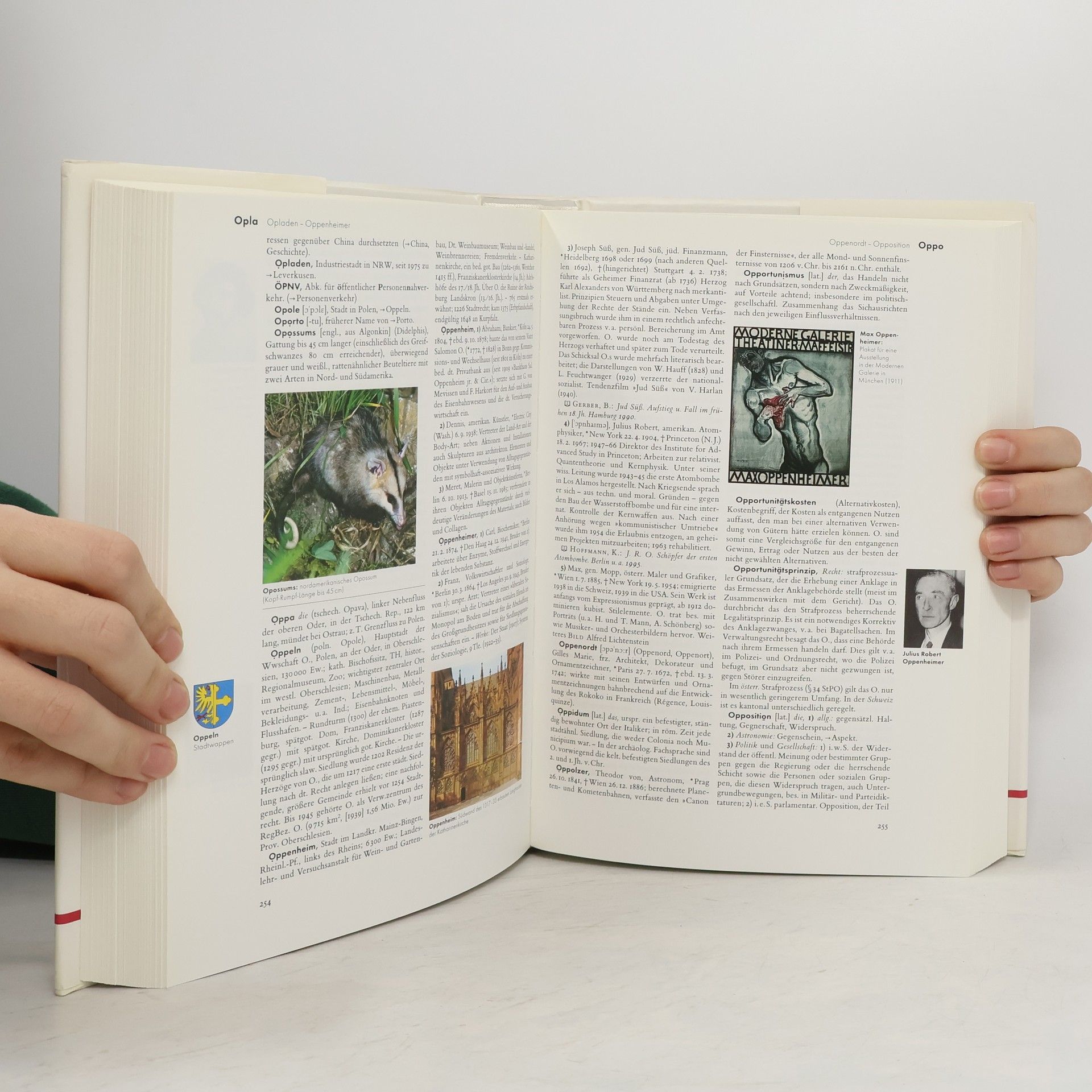 Autorenkollektiv Der Brockhaus 10 (NAS - PFA)