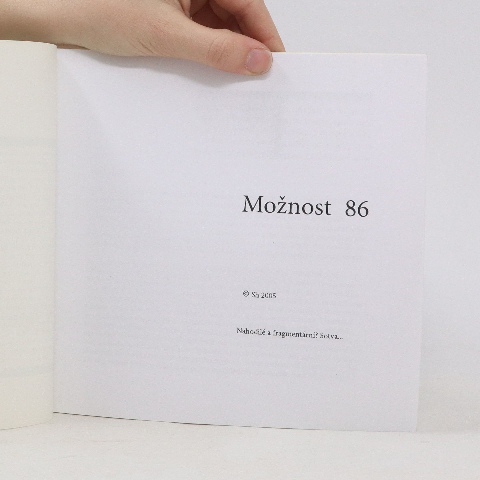 kolektiv Možnost 86