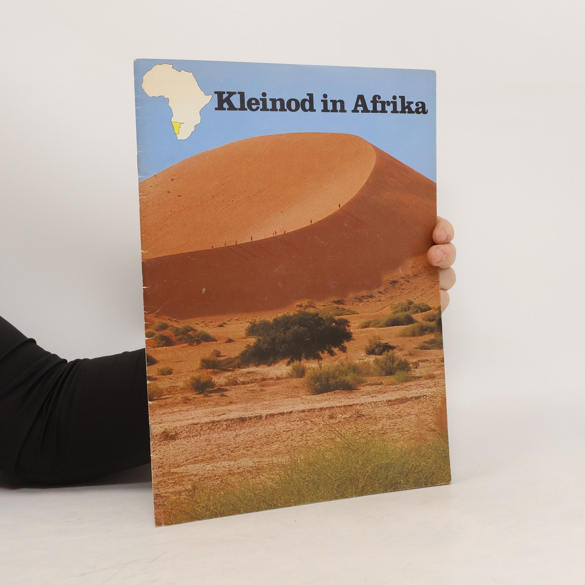 Autorenkollektiv Kleinod in Afrika