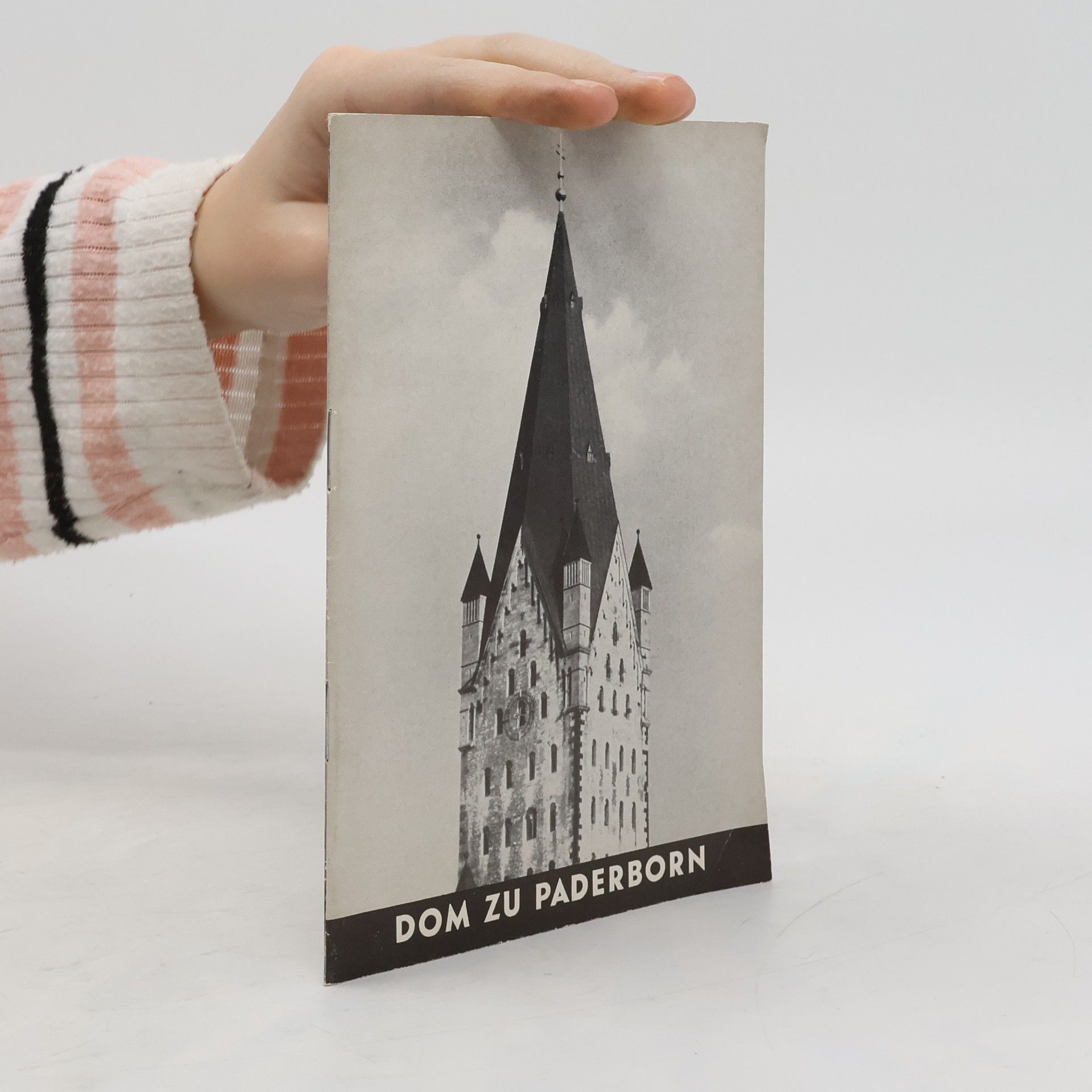 Auteurscollectief Dom zu Paderborn