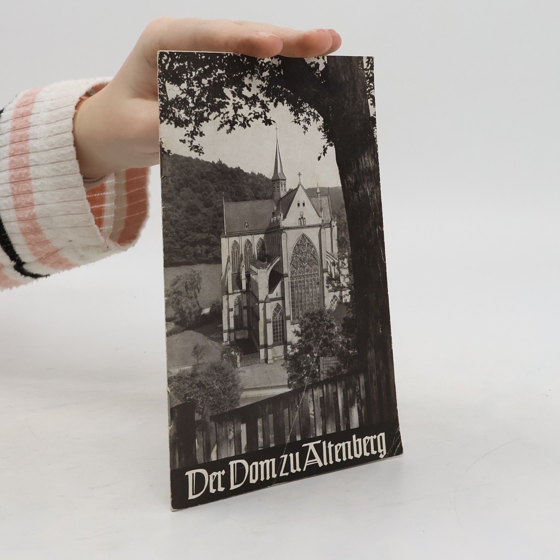 Autorenkollektiv Der Dom zu Altenberg