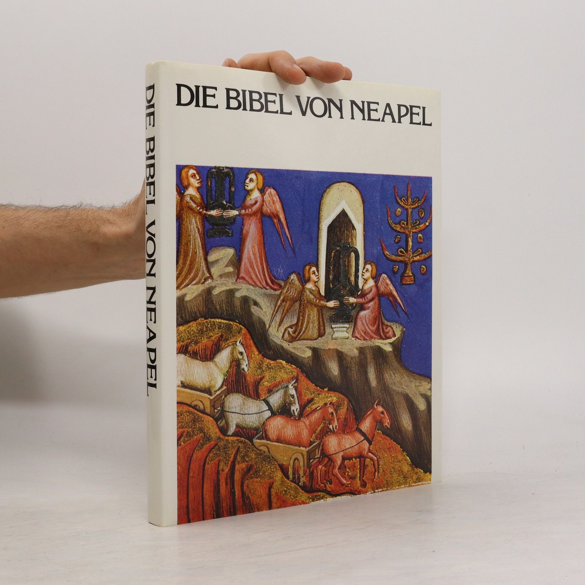 Auteurscollectief Die Bibel von Neapel