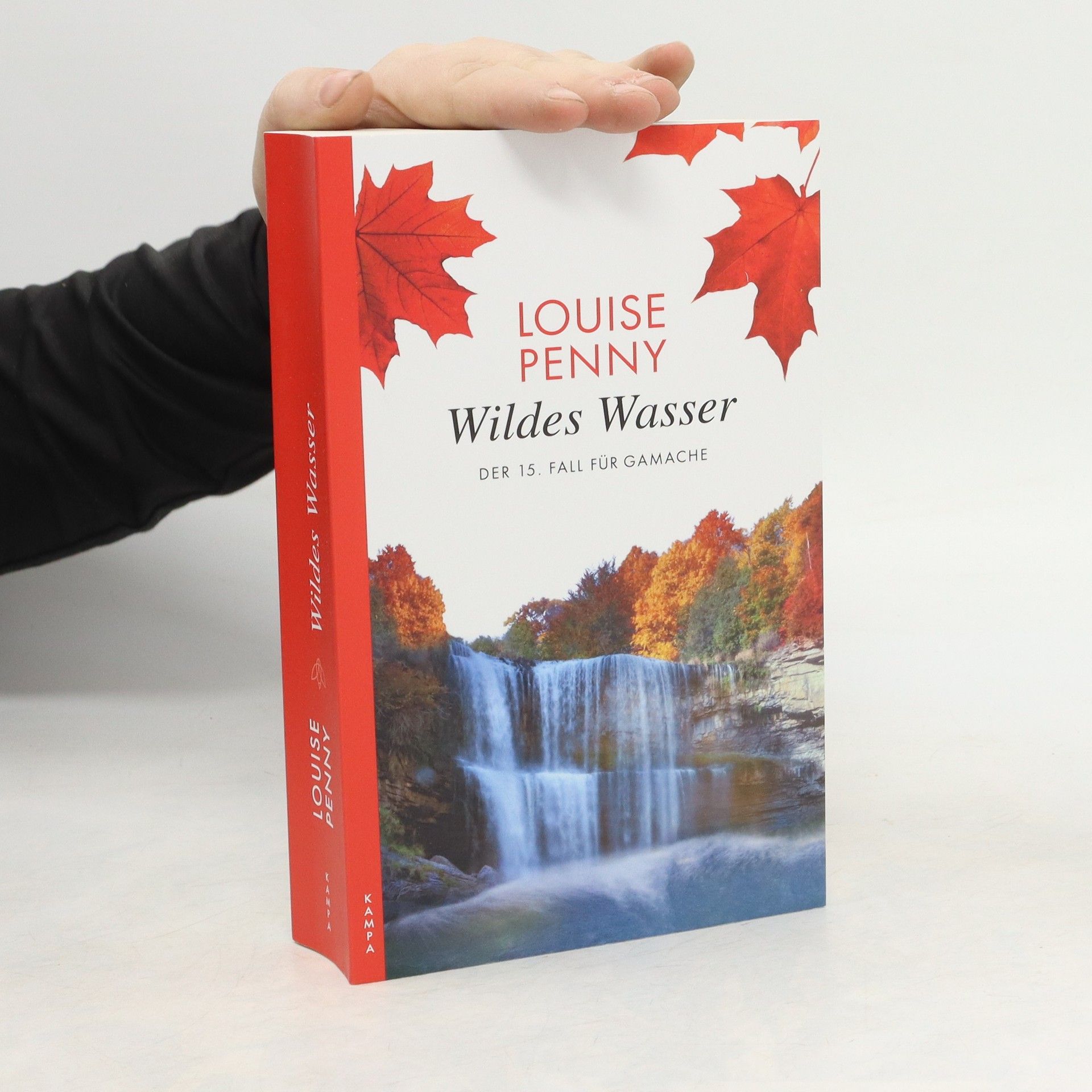 Louise Penny Wildes Wasser