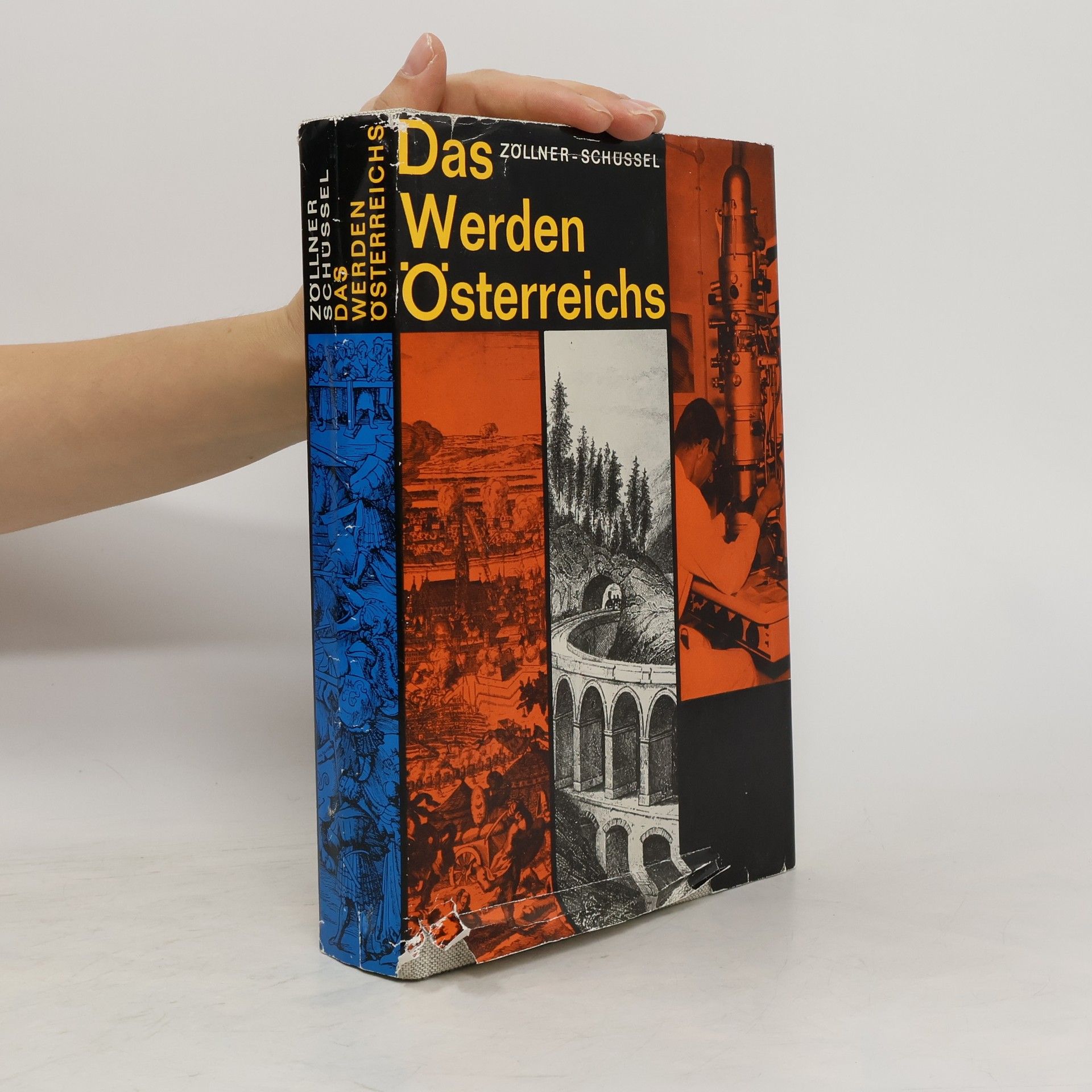 Erich Zöllner Das Werden Österreichs