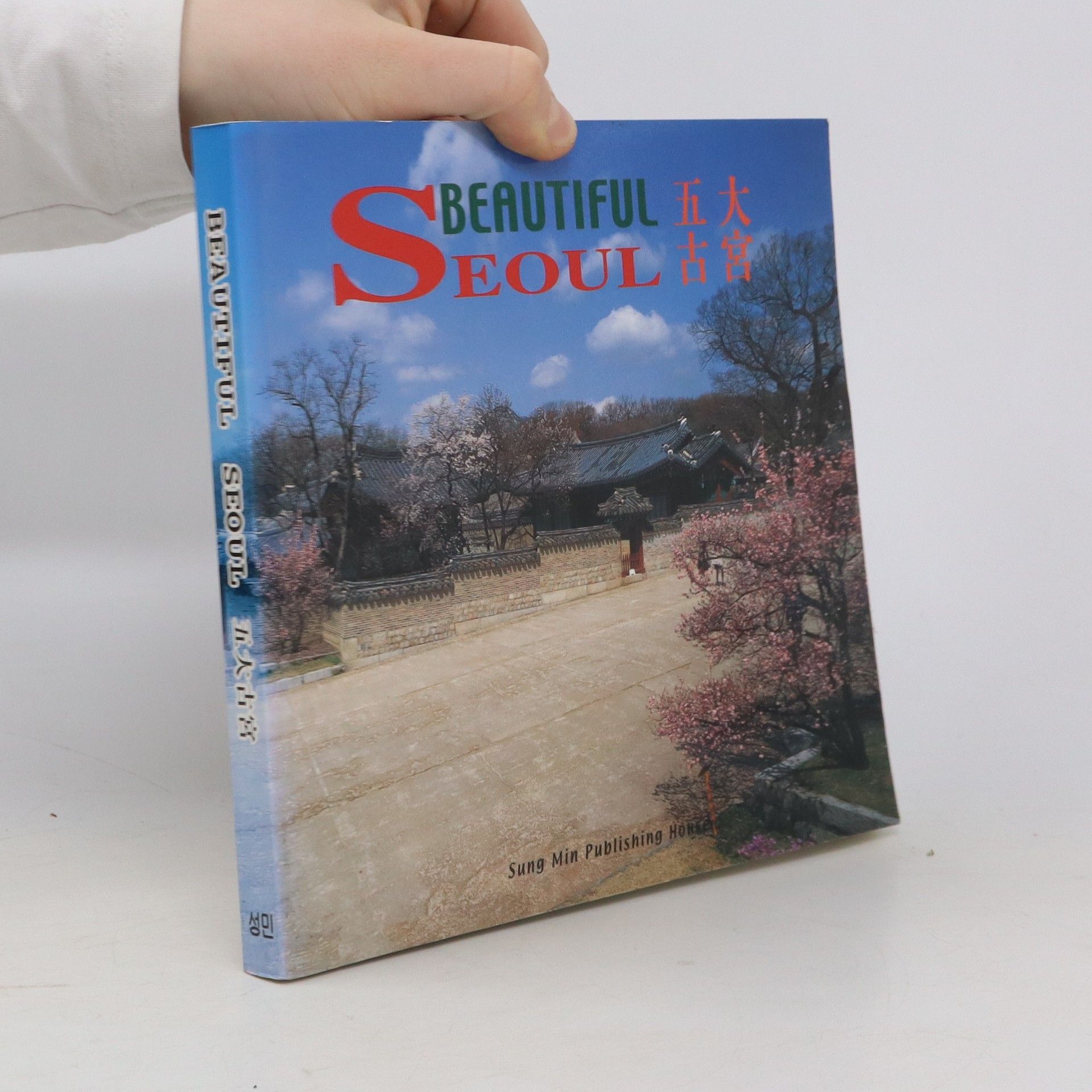 Collectif d'auteurs Beautiful Seoul