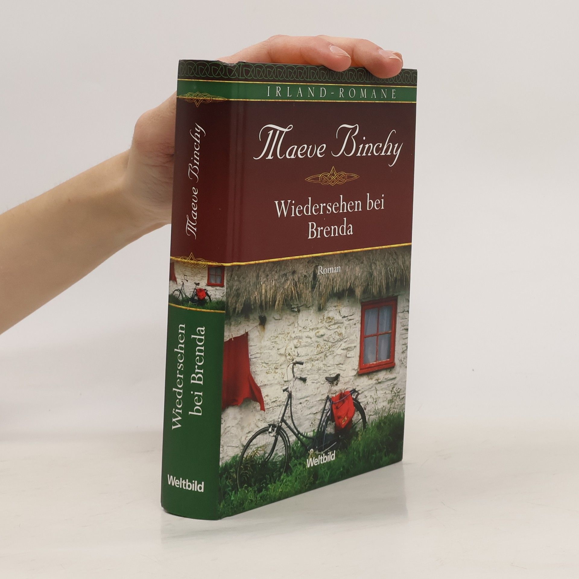 Maeve Binchy Wiedersehen bei Brenda