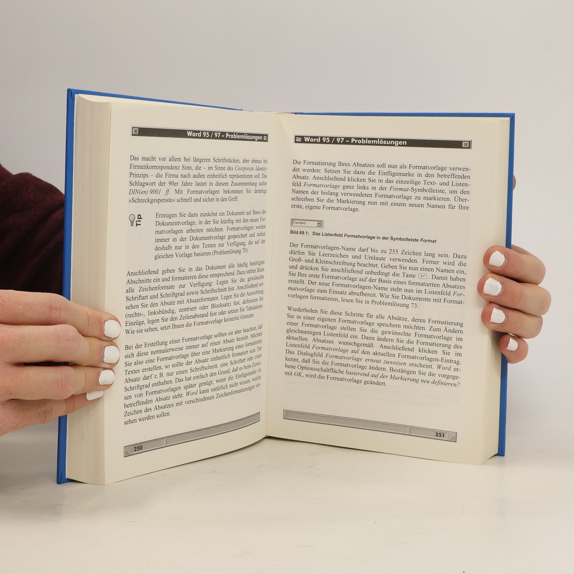 Kolektív autorov Word 7.0. Problemlösungen