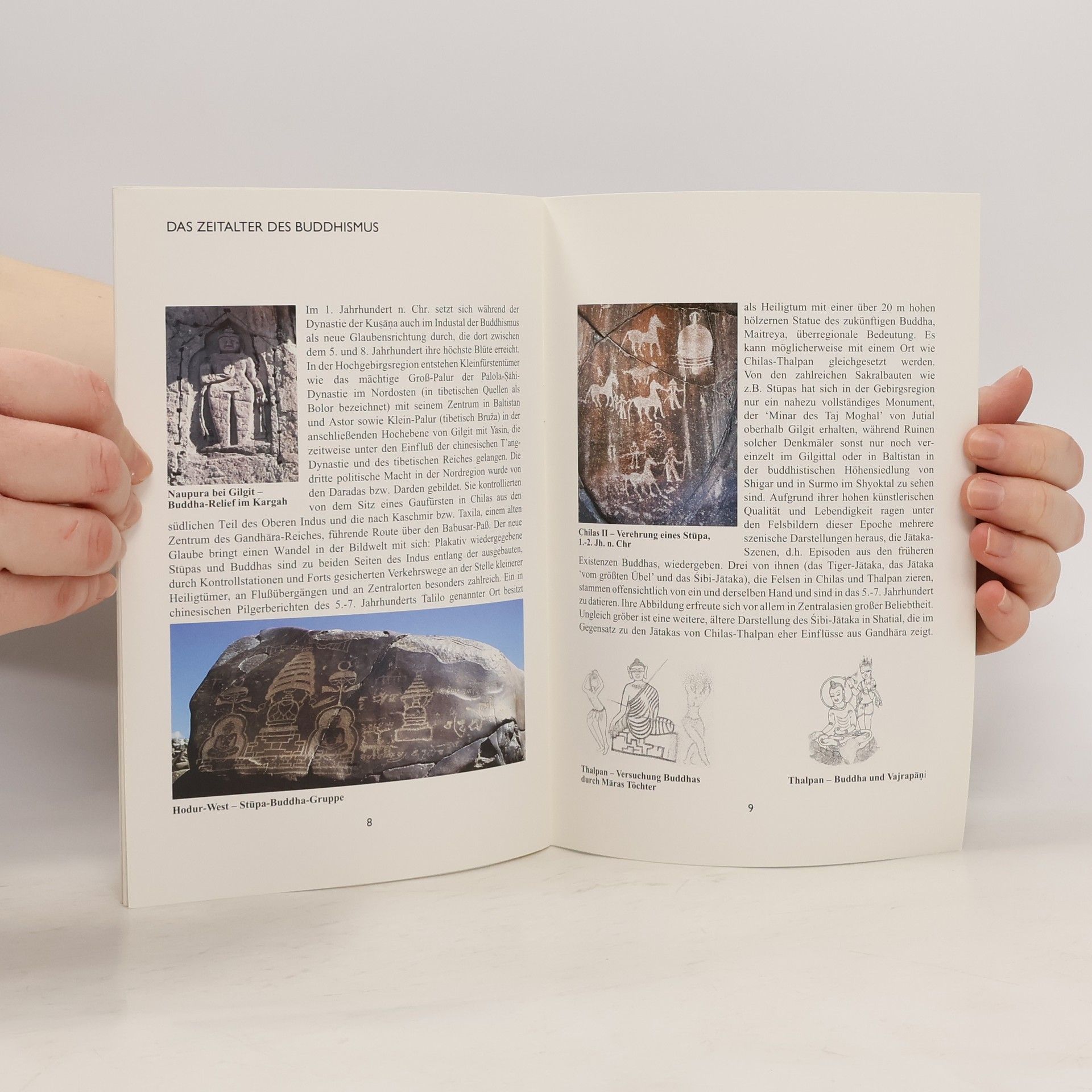kolektiv Felsbilder und Inschriften am Karakorum Highway