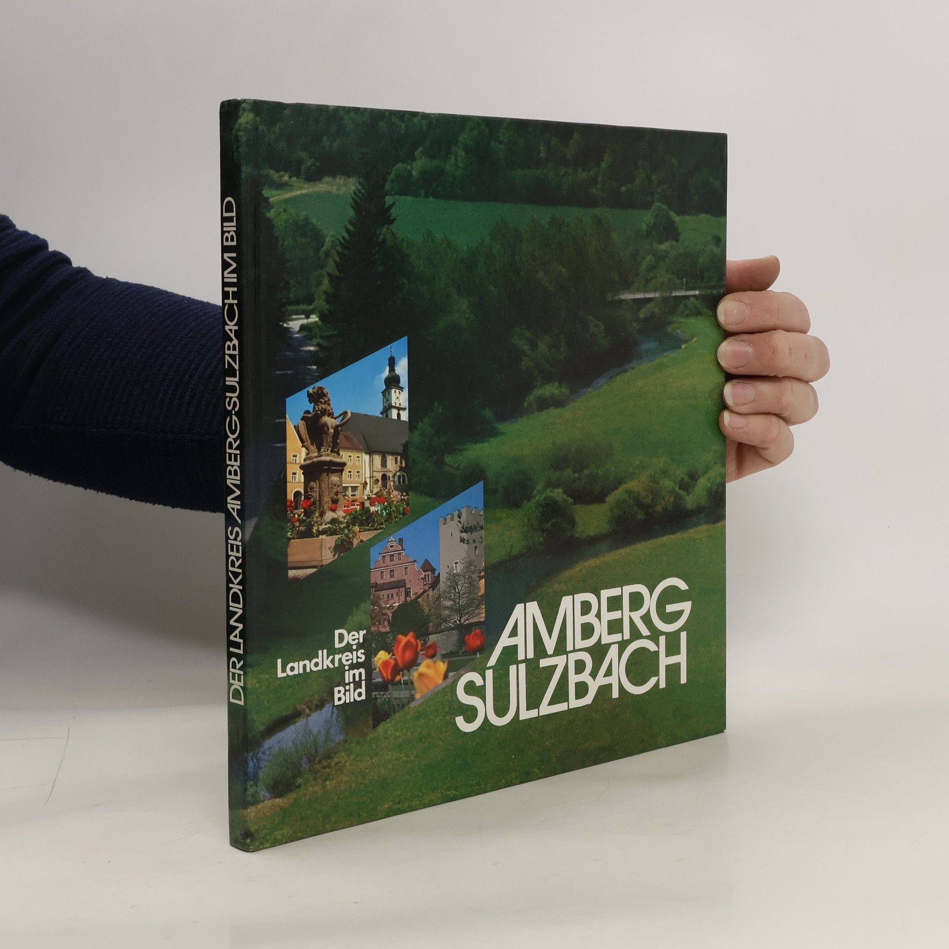 Auteurscollectief Der Landkreis im Bild. Amberg-Sulzbach