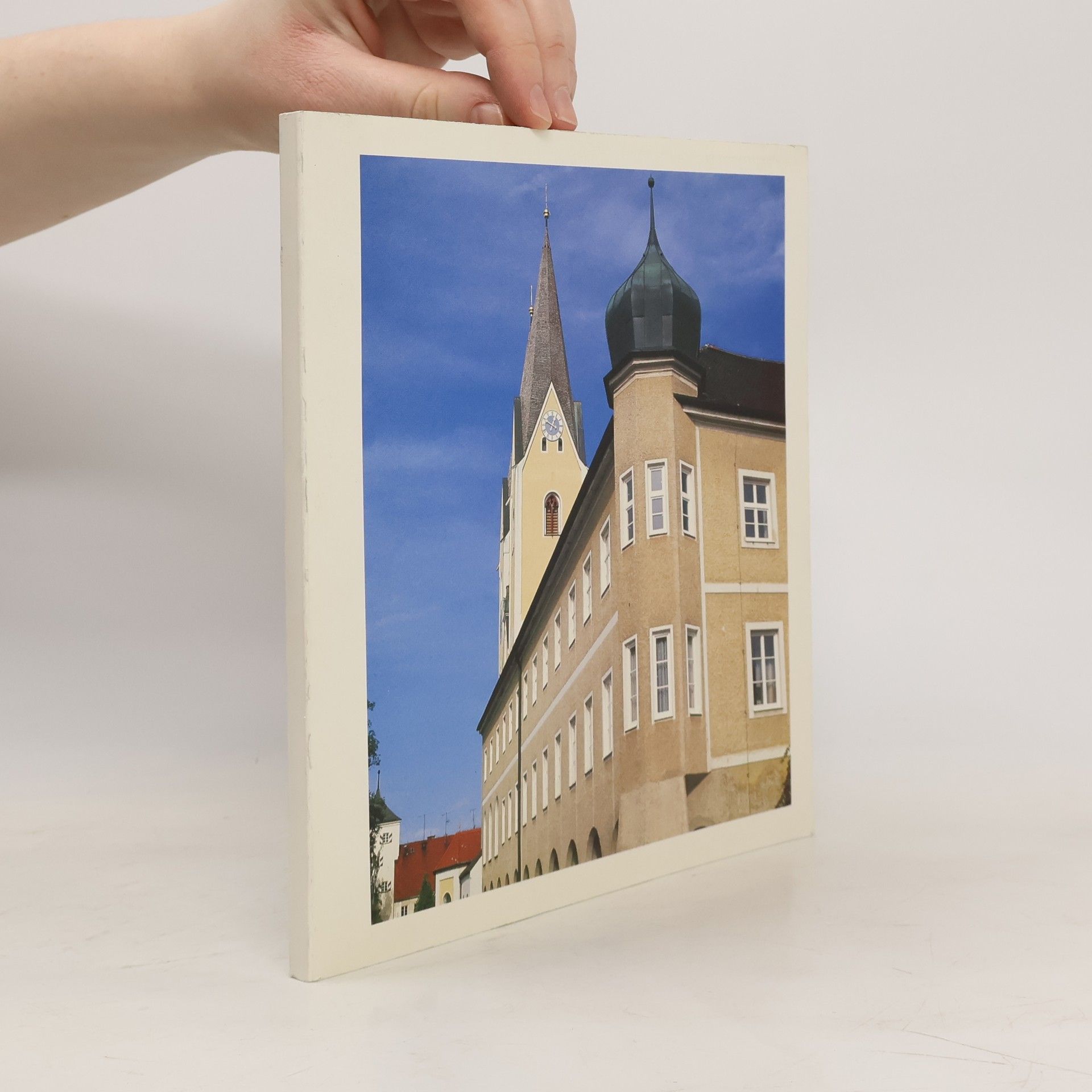 Collectif d'auteurs Realschule. Vinzenz von Paul Kloster Indersdorf 1952 - 1992