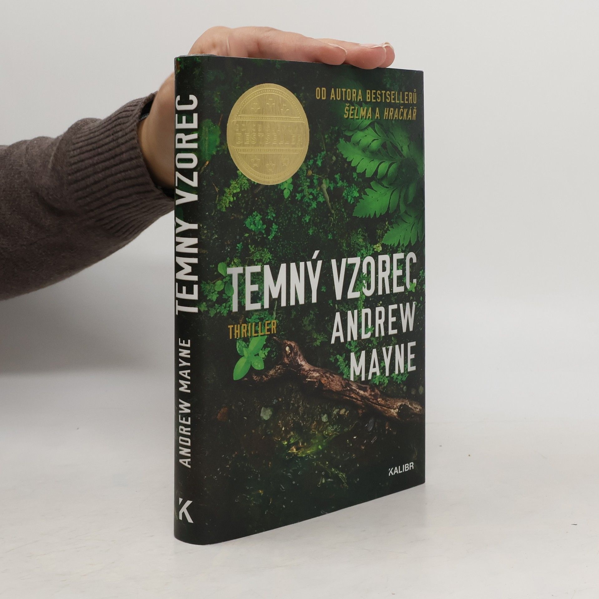 Andrew Mayne Temný vzorec