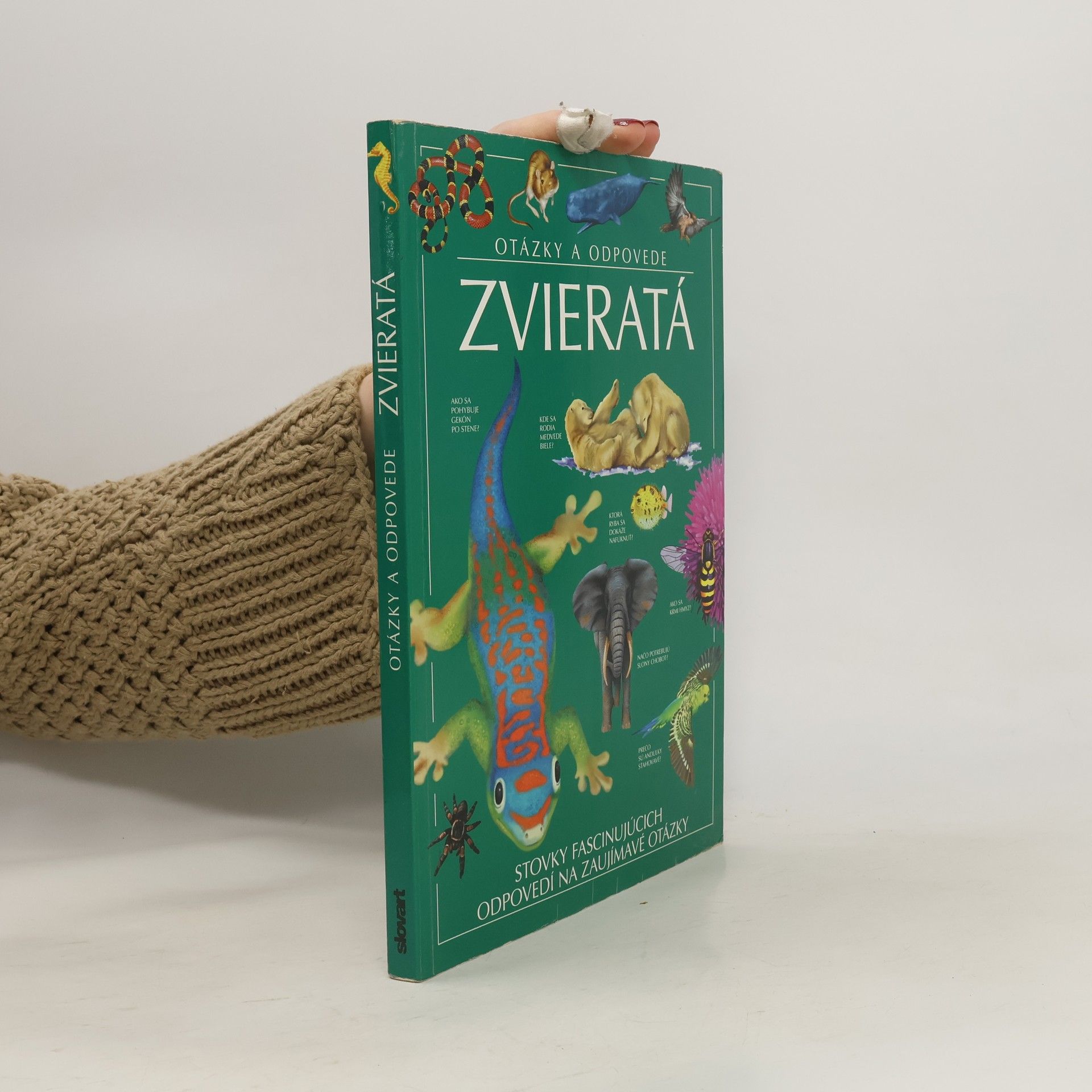 Kolektiv autorů Otázky a odpovede. Zvieratá