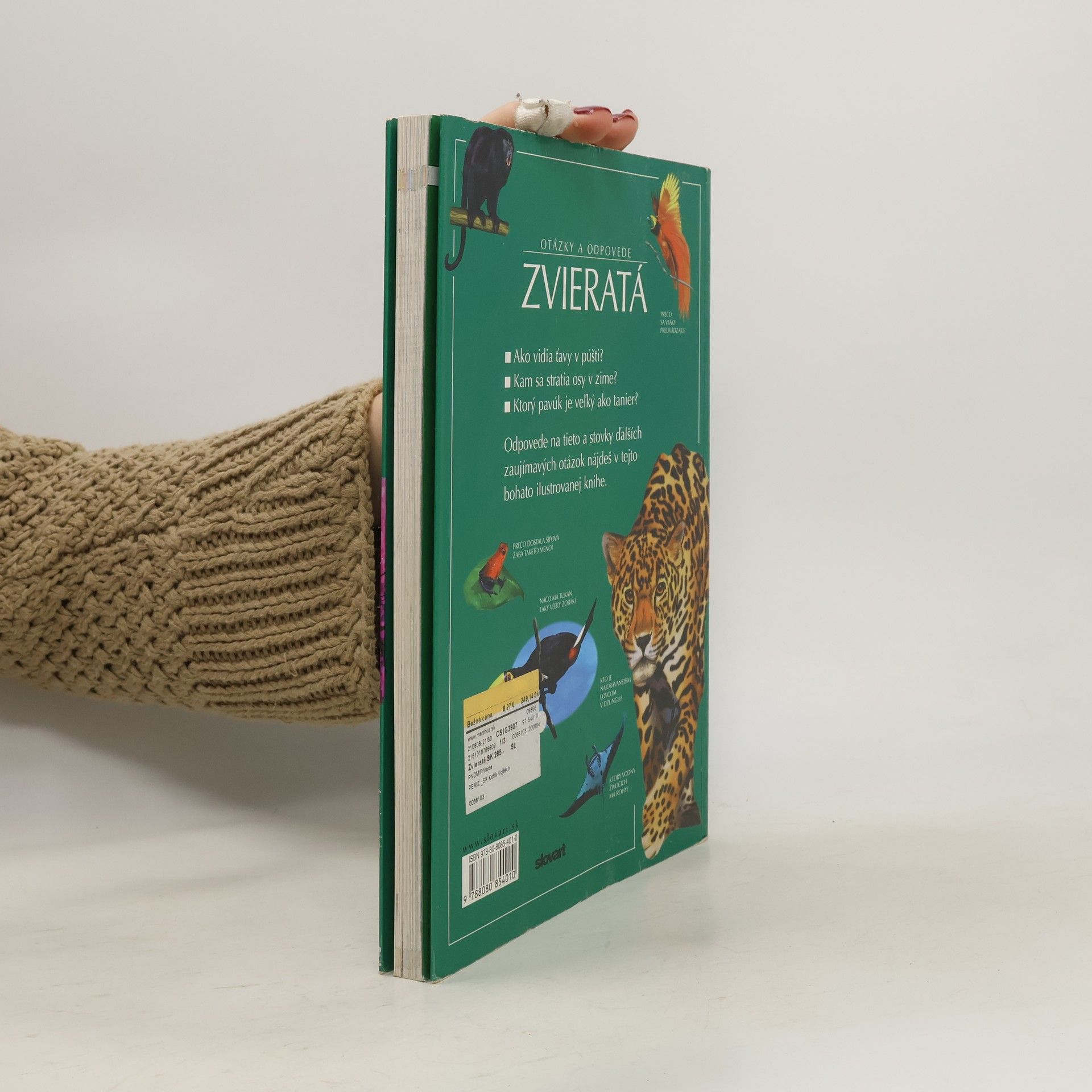 Kolektiv autorů Otázky a odpovede. Zvieratá