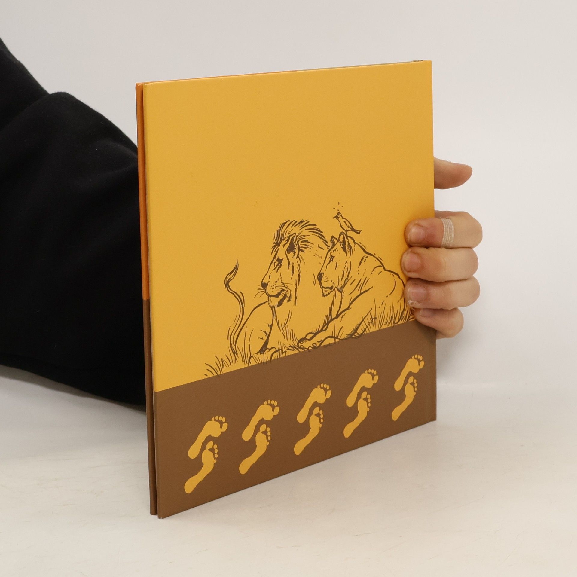 kolektiv Märchen aus Äthiopien