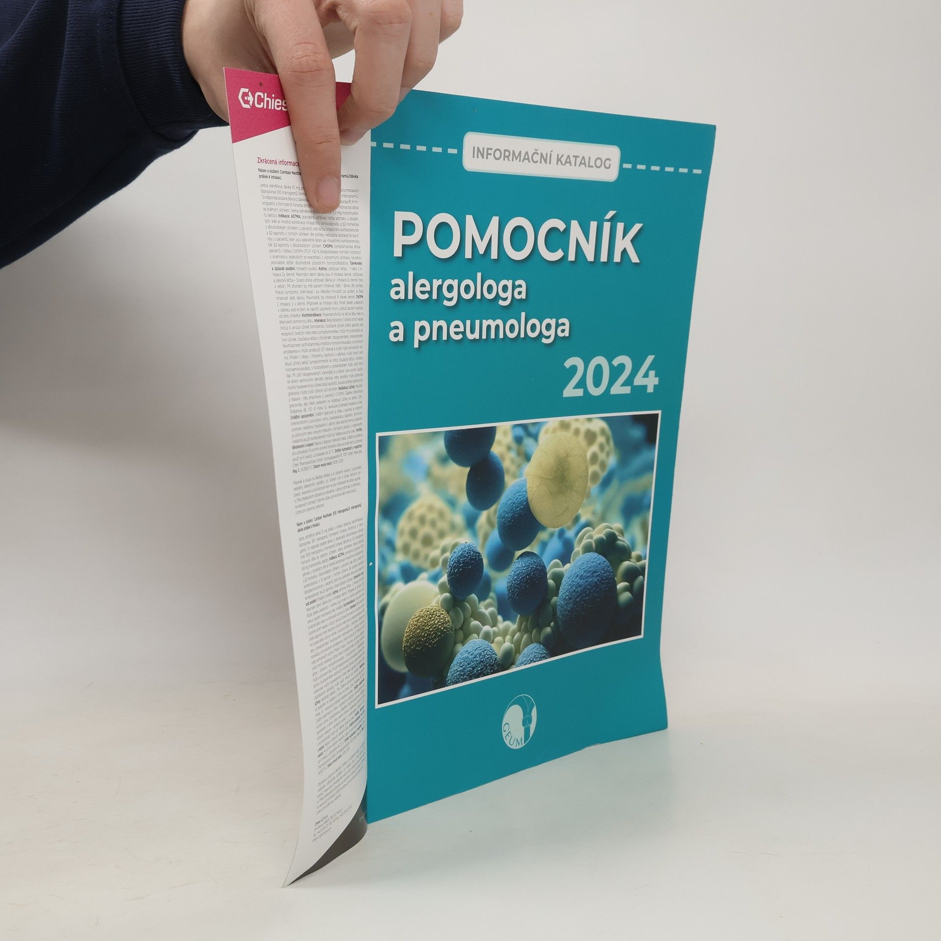 Auteurscollectief Pomocník alergologa a pneumologa