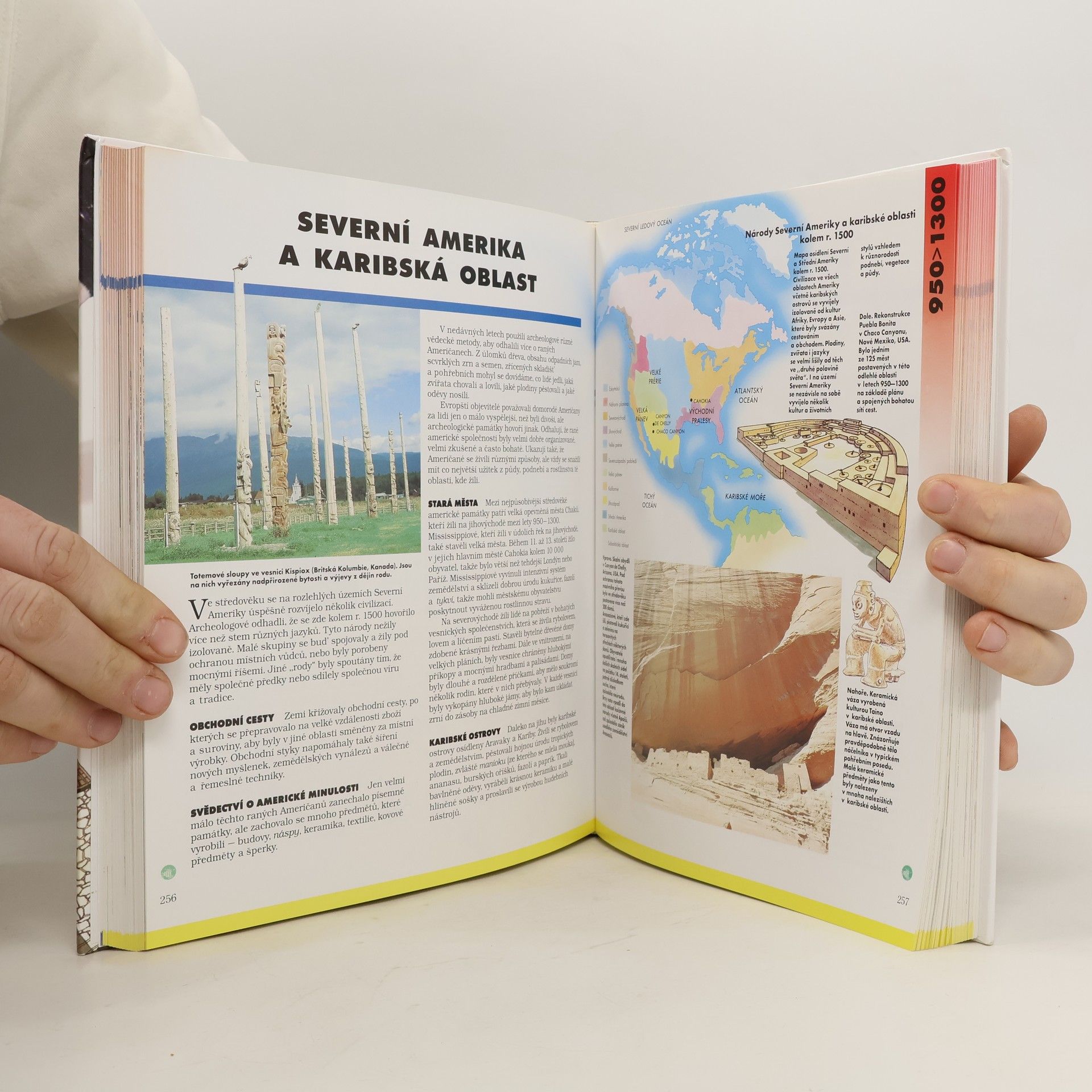Autores varios Ilustrované dějiny světa