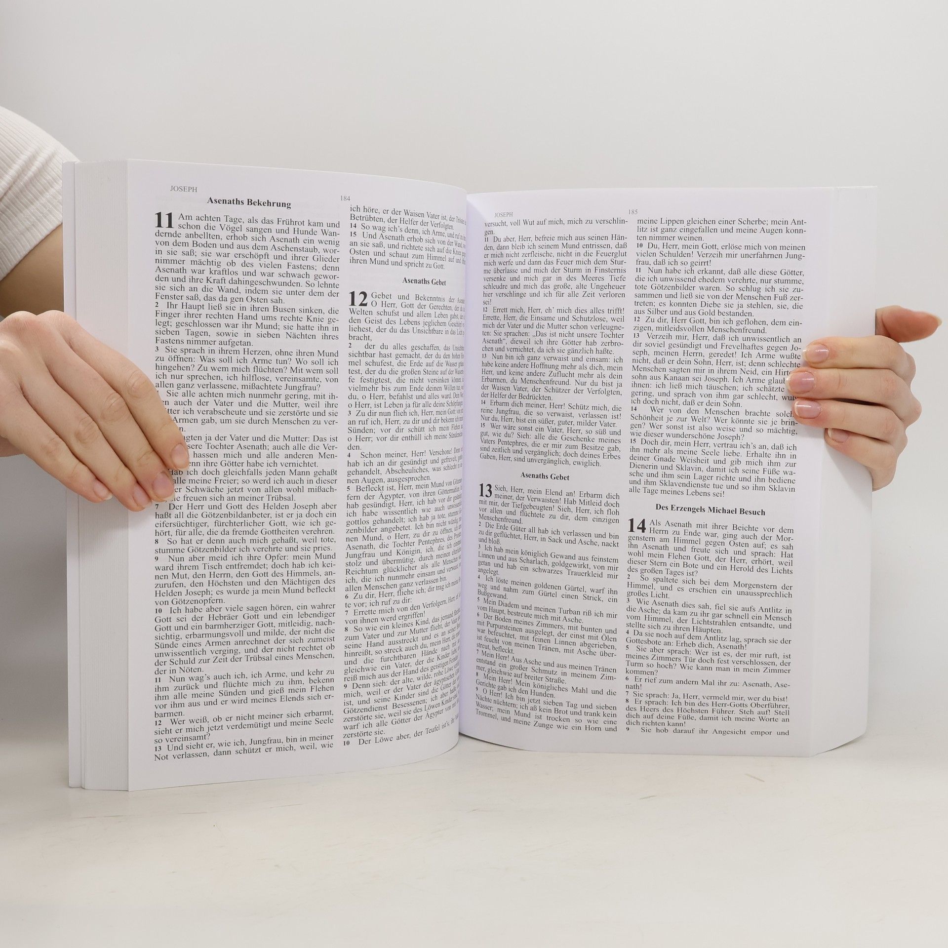 Autorenkollektiv Die 62 unterschlagenen Bücher der Bibel