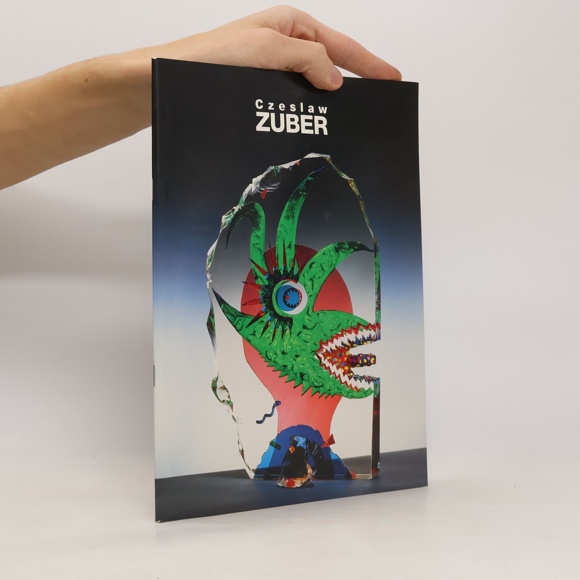 Czesław Zuber Zuber reflexes reflections