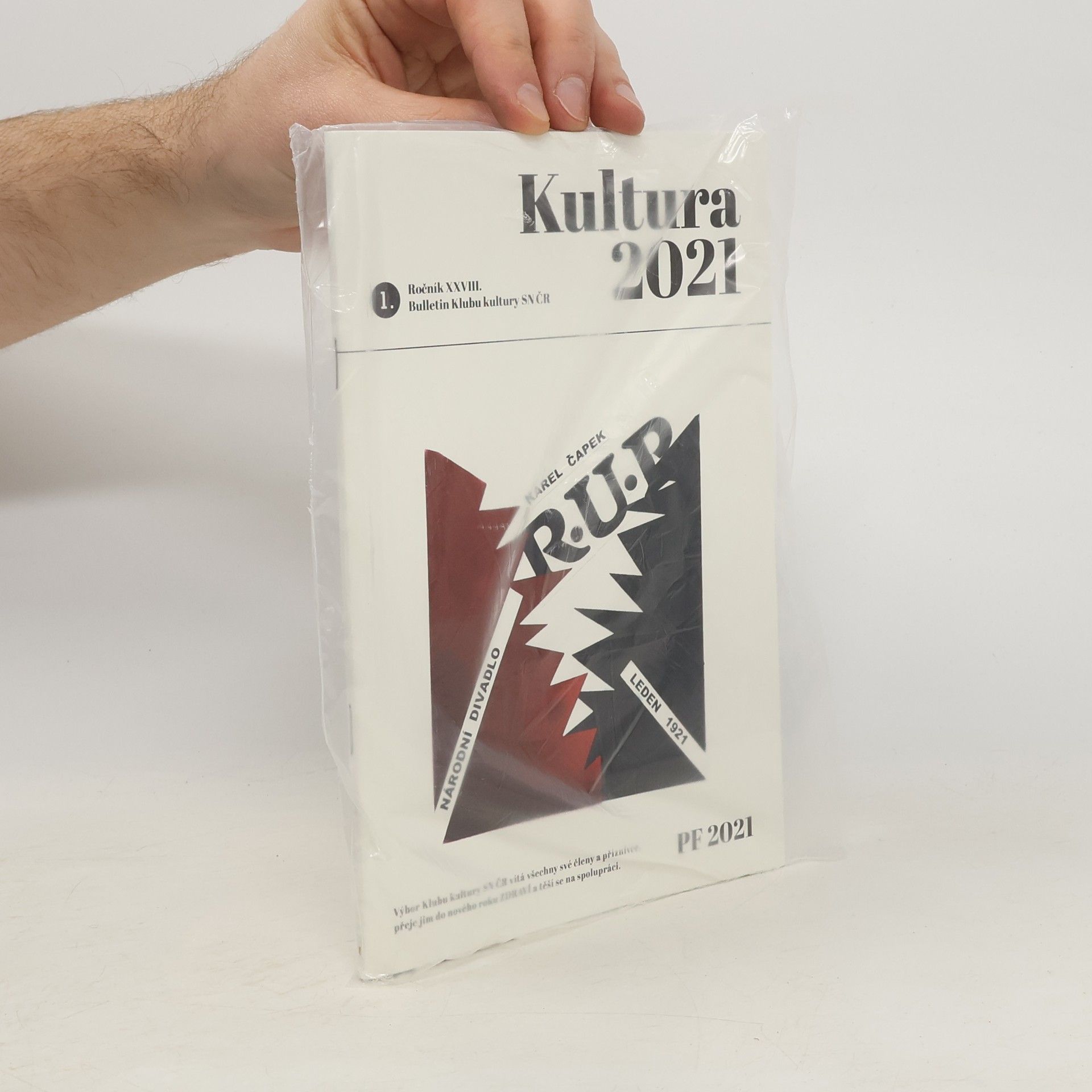 Kolektív autorov Kultura 2021