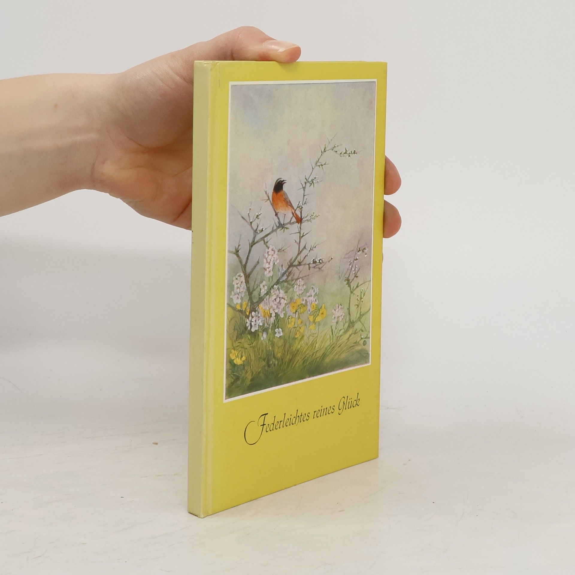 Autorenkollektiv Federleichtes reines Glück