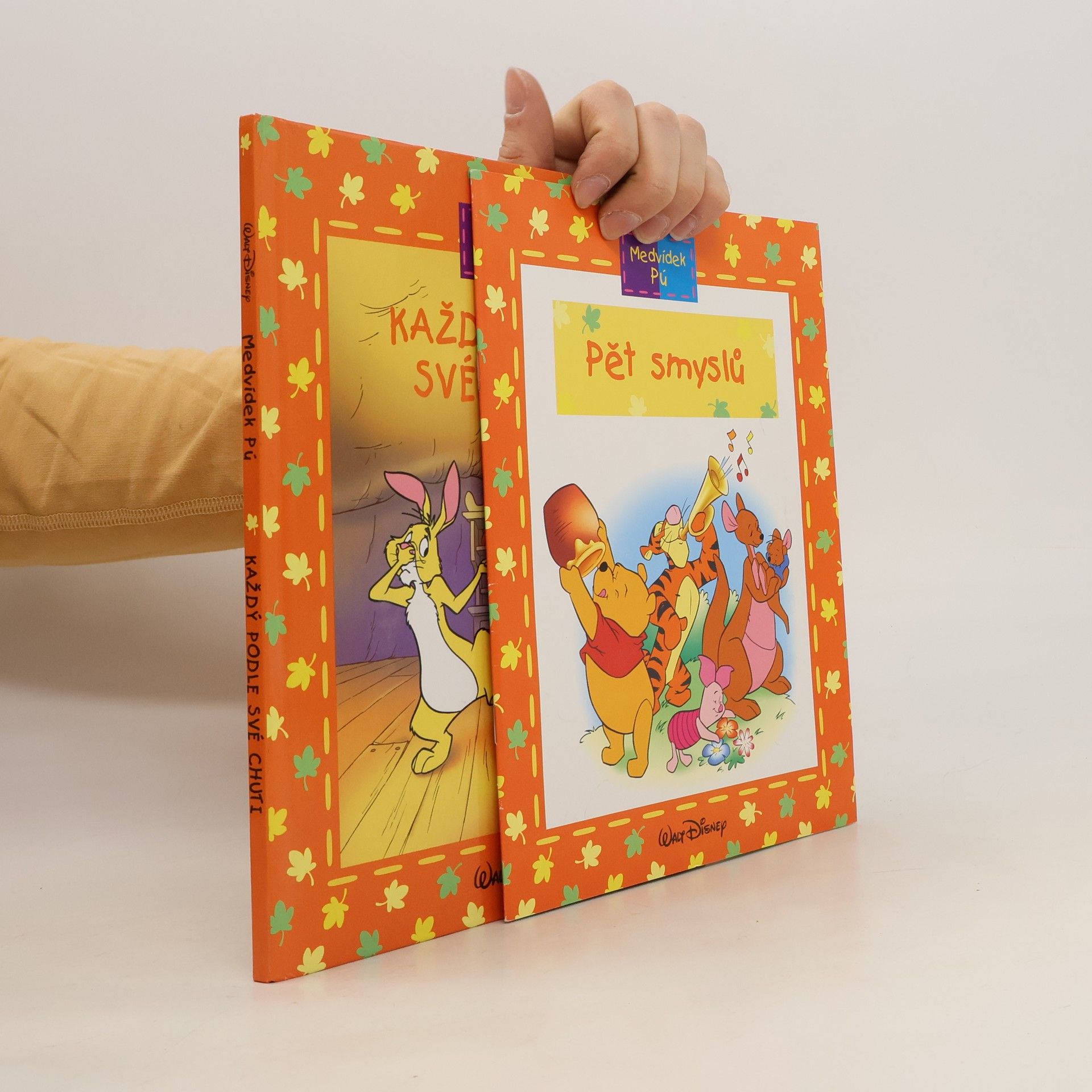 Collectif d'auteurs Medvídek Pú. Pět smyslů