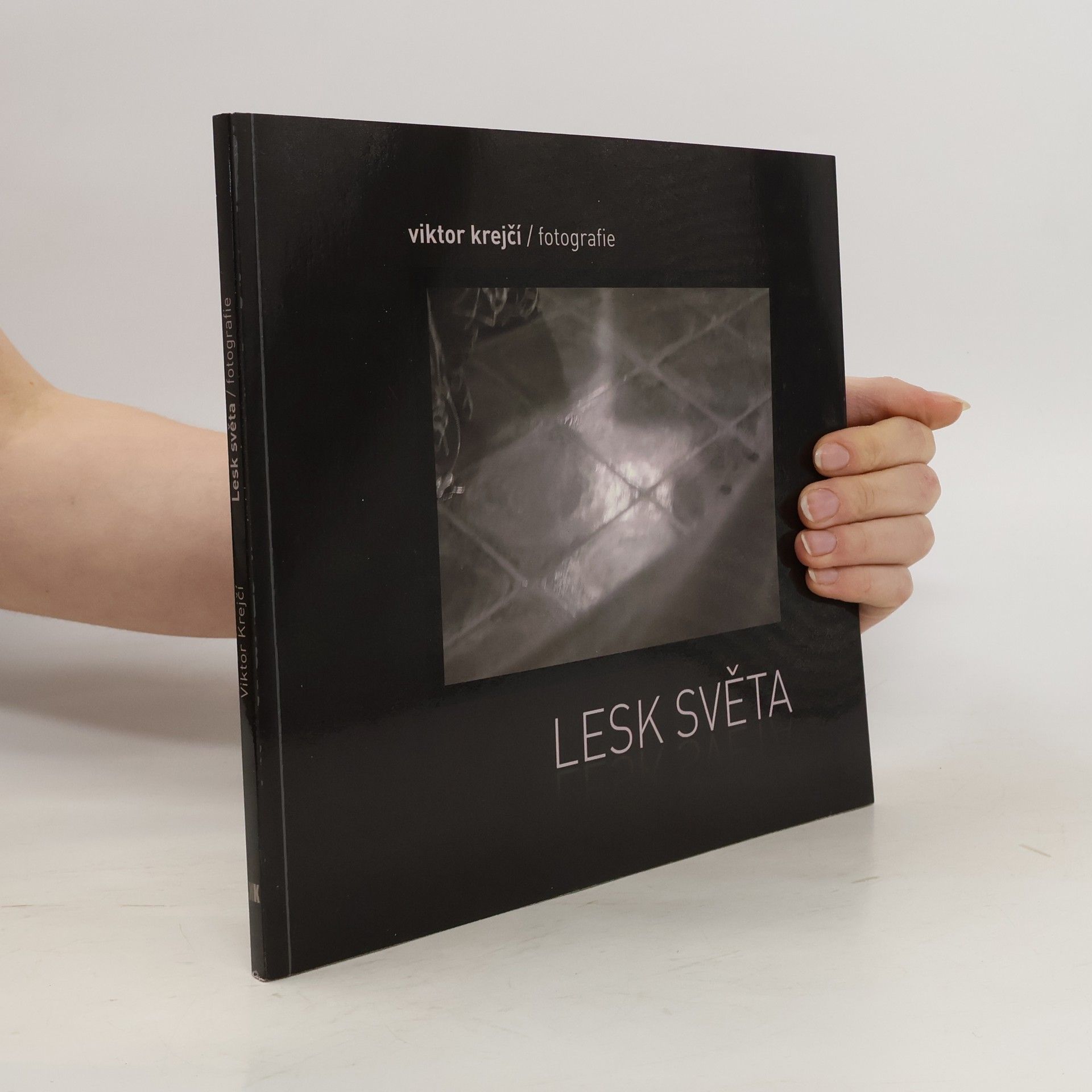 Viktor Krejčí Lesk světa