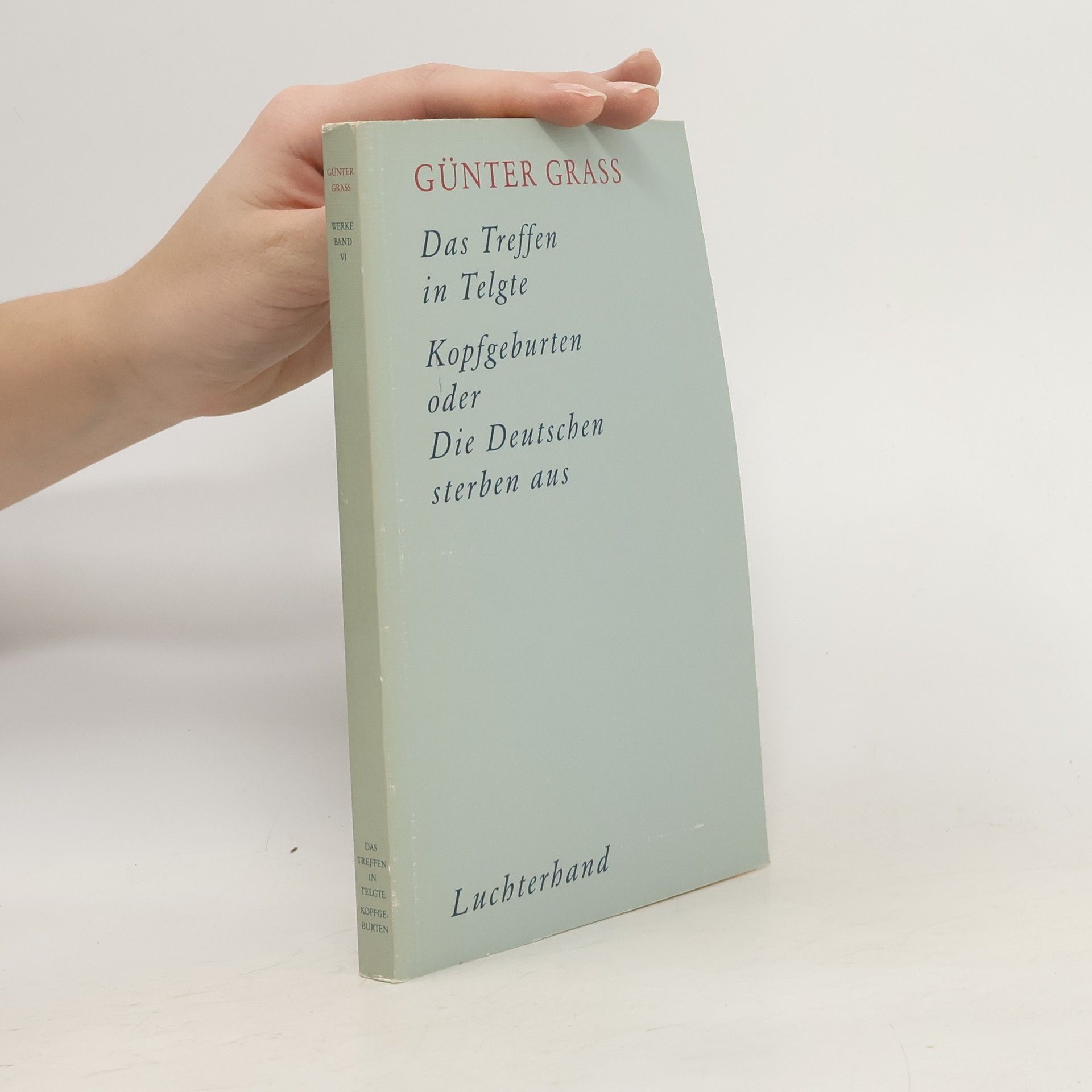 Günter Grass Das Treffen in Telgte