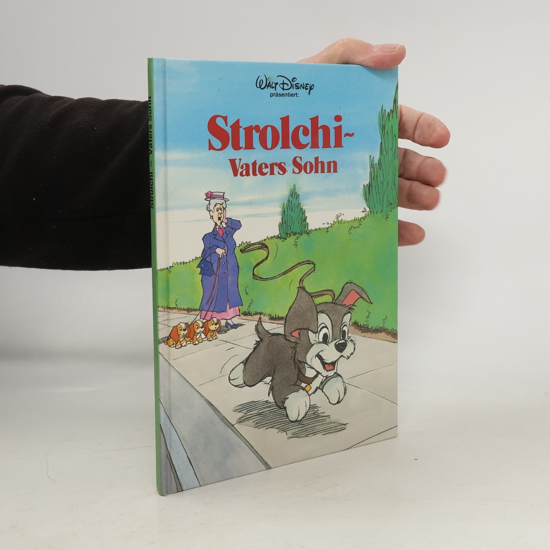 kolektiv Strolchi Vaters Sohn