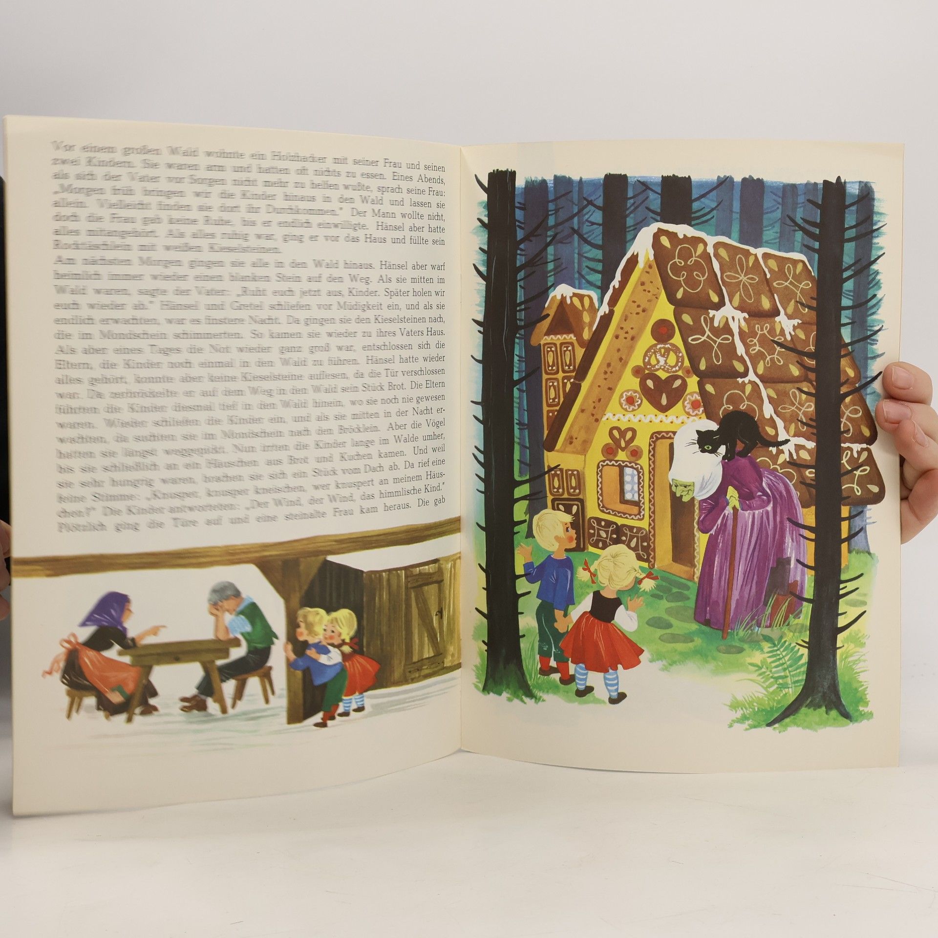 kolektiv Hänsel und Gretel. Der Froschkönig