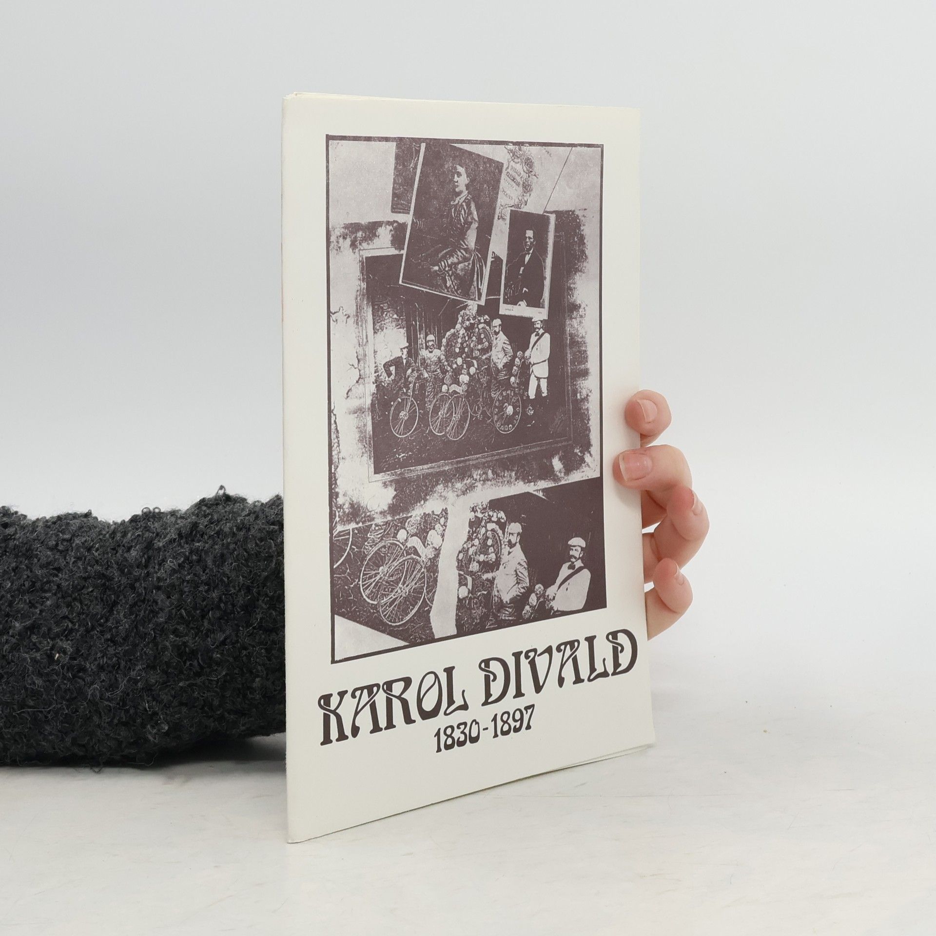 Kolektív autorov Karol Divald 1830-1897