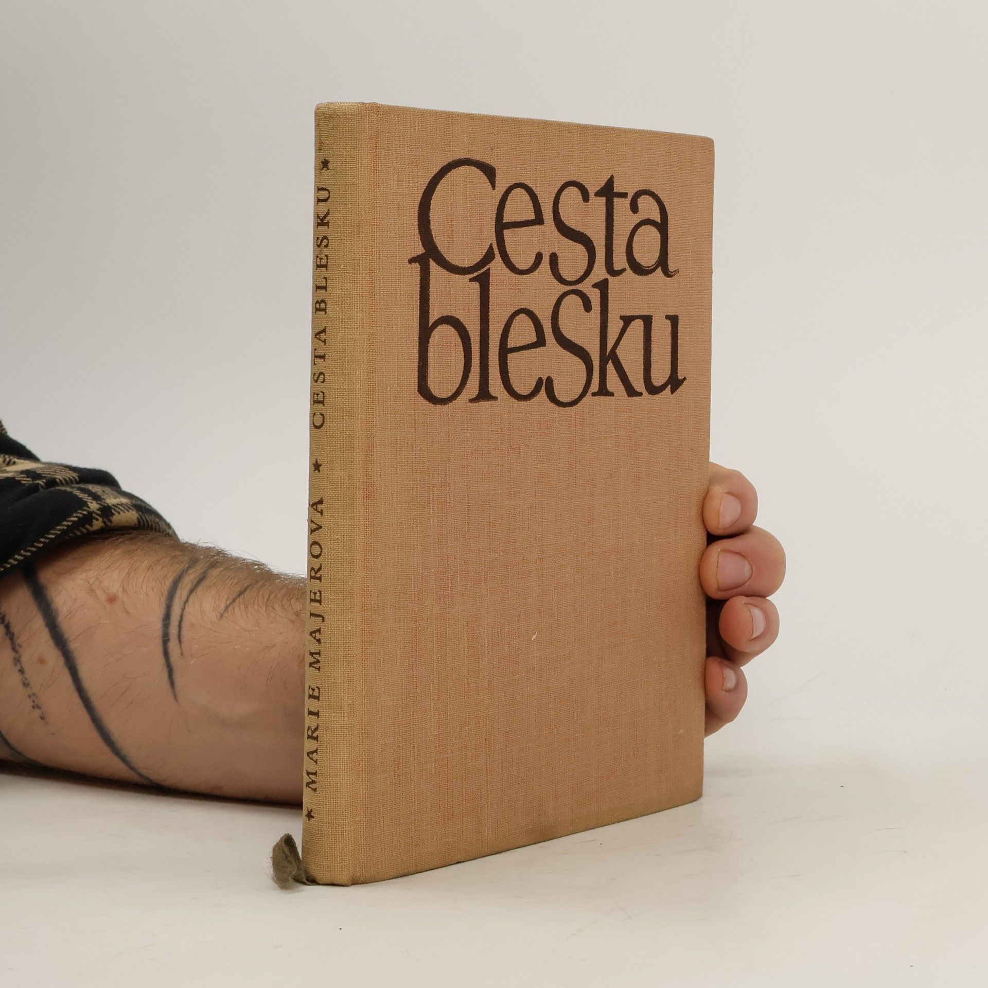 Marie Majerová Cesta blesku